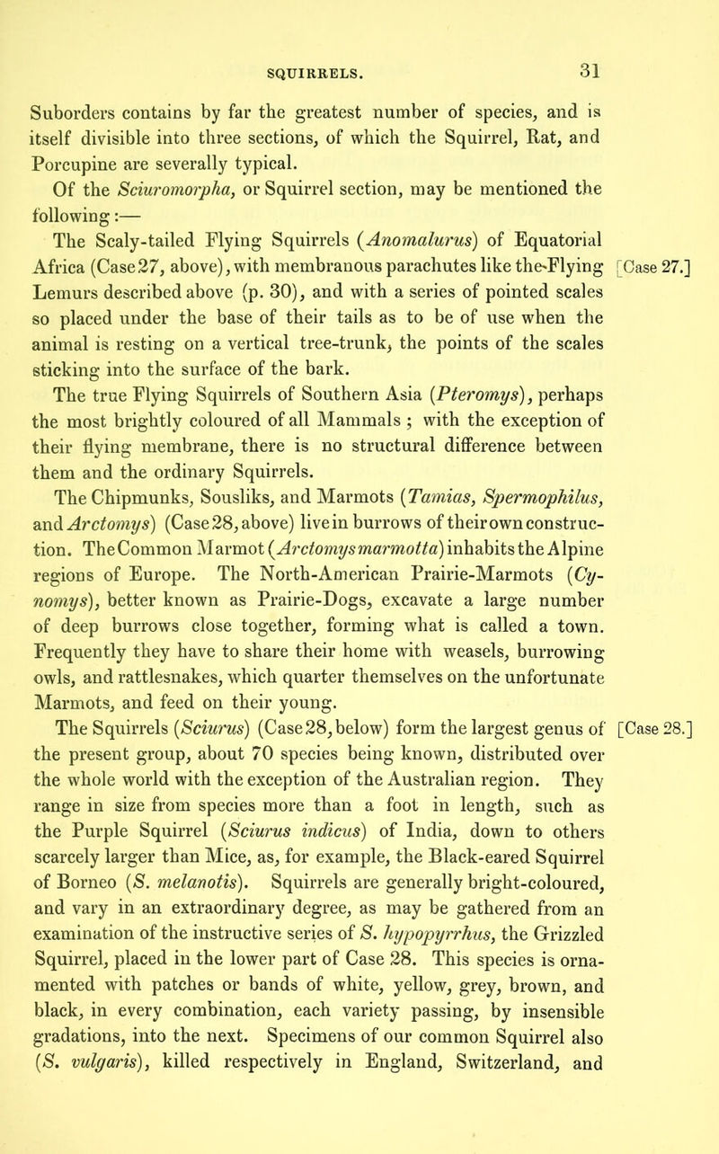 SQUIRRELS. Suborders contains by far the greatest number of species, and is itself divisible into three sections, of which the Squirrel, Rat, and Porcupine are severally typical. Of the Sciuromorphaj or Squirrel section, may be mentioned the following:— The Scaly-tailed Flying Squirrels {Anomalurus) of Equatorial Africa (Case 27, above), with membranous parachutes like the'Flying [Case 27.] Lemurs described above (p. 30), and with a series of pointed scales so placed under the base of their tails as to be of use when the animal is resting on a vertical tree-trunk, the points of the scales sticking into the surface of the bark. The true Flying Squirrels of Southern Asia [Pteromys), perhaps the most brightly coloured of all Mammals ; with the exception of their flying membrane, there is no structural difiPerence between them and the ordinary Squirrels. The Chipmunks, Sousliks, and Marmots [Tamias, SpermopMlus, s^ndiArctomys) (Case 28, above) live in burrows of their own construc- tion. TheCommon Marmot inhabits the Alpine regions of Europe. The North-American Prairie-Marmots {Cy- nomys), better known as Prairie-Dogs, excavate a large number of deep burrows close together, forming what is called a town. Frequently they have to share their home with weasels, burrowing owls, and rattlesnakes, which quarter themselves on the unfortunate Marmots, and feed on their young. The Squirrels [Sciurus) (Case 28, below) form the largest genus of [Case 28.] the present group, about 70 species being known, distributed over the whole world with the exception of the Australian region. They range in size from species more than a foot in length, such as the Purple Squirrel [Sciurus indicus) of India, down to others scarcely larger than Mice, as, for example, the Black-eared Squirrel of Borneo [S. melanotis). Squirrels are generally bright-coloured, and vary in an extraordinary degree, as may be gathered from an examination of the instructive series of S. hypopyrrhuSj the Grizzled Squirrel, placed in the lower part of Case 28. This species is orna- mented with patches or bands of white, yellow, grey, brown, and black, in every combination, each variety passing, by insensible gradations, into the next. Specimens of our common Squirrel also [S, vulgaris), killed respectively in England, Switzerland, and