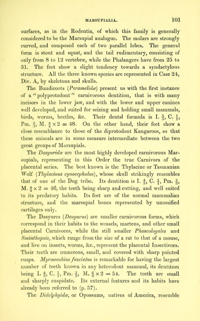 surfaces, as in the Hodentia, of whieh this family is generally considered to be the Marsupial analogue. The molars are strongly curved, and eomposed eaeh of two parallel lobes. The general form is stout and squat, and the tail rudimentary, consisting of only from 8 to 12 vertebrae, while the Phalangers have from 25 to 31. The feet show a slight tendency towards a syndactylous structure. All the three known species are represented in Case 24, Div. A, by skeletons and skulls. The Bandicoots [Peramelidce) present us with the first instance of a polyprotodont earnivorous dentition, that is with many ineisors in the lower jaw, and with the lower and upper canines well developed, and suited for seizing and holding small mammals, birds, worms, beetles, &c. Their dental formula is I. C. -}-, Pm. f, M. f x2 = 48. On the other hand, their feet show a close resemblanee to those of the diprotodont Kangaroos, so that these animals are in some measure intermediate between the two great groups of Marsupials. The Dasyuridce are the most highly developed carnivorous Mar- supials, representing in this Order the true Carnivora of the placental series. The best known is the Thylacine or Tasmanian Wolf {Thylacinus cynocephalus), whose skull strikingly resembles that of one of the Dog tribe. Its dentition is I. I, C. 1 Pm. I, M.^X 2 = 46, the teeth being sharp and cutting, and well suited to its predatory habits. Its feet are of the normal mammalian structure, and the marsupial bones represented by unossified cartilages only. The Dasyures {Dasyurus) are smaller earnivorous forms, whieh correspond in their habits to the weasels, martens, and other small placental Carnivores, while the still smaller Phascologales and Sminthopsis, which range from the size of a rat to that of a mouse, and live on inseets, worms, &e., represent the placental Insectivora. Their teeth are numerous, small, and eovered with sharp pointed cusps. Myrmecobius fasciatus is remarkable for having the largest number of teeth known in any heterodont mammal, its dentition being I. f, C. }, Pm. M. ^ x 2 = 54. The teeth are small and sharply cuspidate. Its external features and its habits have already been referred to (p. 57). The DidelphyidcB, or Opossums, natives of Ameriea, resemble