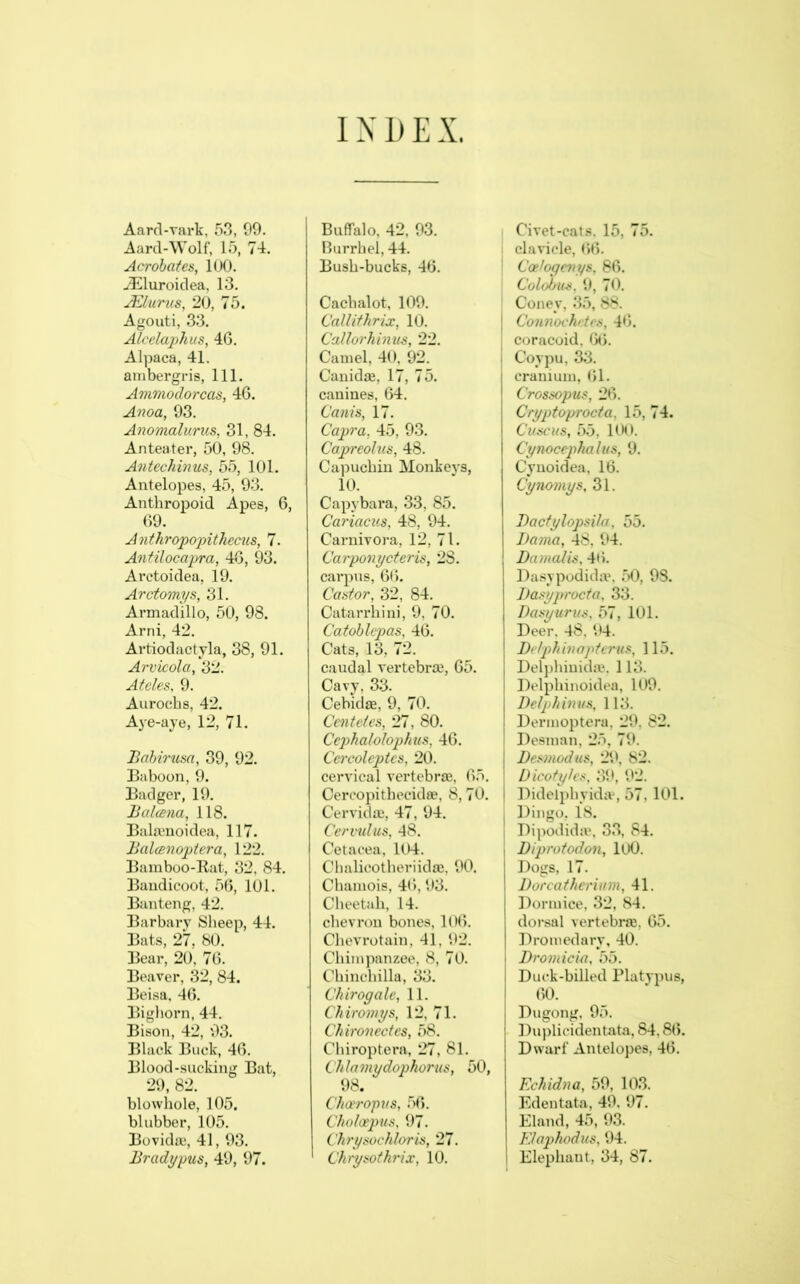 1N D E X. Aarrl-vark, 53, 09. Aard-Wolf, 15, 74. Acrobates, 100. .^luroidea, 13. jElurus, 20, 75. Agouti, 33. Alcelaphus, 46. Alpaca, 41. ambergris. 111. Ammodorcas, 46. Anoa, 93. Anomaliirus, 31, 84. Anteater, 50, 98. Antechinus, 55, 101. Antelopes, 45, 93. Anthropoid Apes, 6, 69. Anthropojnthecus, 7. Antilocapra, 46, 93. Arctoidea, 19. Arctomys, 31. Armadillo, 50, 98. Arni, 42. Artiodactyla, 38, 91. Arvicola, 32. Aides, 9. Aurochs, 42. Aye-aje, 12, 71. liohirusa, 39, 92. Baboon, 9. Badger, 19. Balcena, 118. Bahvnoidea, 117. Balcenoptera, 122. Bamboo-Rat, 32, 84. Bandicoot, 56, 101. Banteng, 42. Barbary Sheep, 44. Bats, 27, 80. Bear, 20, 76. Beaver, 32, 84. Beisa, 46. Bighorn, 44. Bison, 42, 93. Black Buck, 46. Blood-sucking Bat, 29, 82. blowhole, 105. blubber, 105. Bovidaj, 41, 93. Bradypus, 49, 97. Buffalo, 42, 93. Burrhel, 44. Bush-bucks, 46. Cachalot, 109. Calliihrix, 10. Callorhinus, 22. Camel, 40, 92. Canidffi, 17, 75. canines, 64. Cams, 17. Capra, 45, 93. Capreolus, 48. Ca])uchin Monkeys, 10. Capybara, 33, 85. Cariacus, 48, 94. Carnivora, 12, 71. Carponycteris, 28. carpus, 66, Castor, 32, 84. Catarrhini, 9, 70. Catohlcpas, 46. Cats, 13, 72. caudal vertebra3, 65. Cavy, 33. Cebidte, 9, 70. Cent ties, 27, SO. Cc2)haloIophus, 46. Ccrcoleptcs, 20. ceryical yertebraj, 65. Cercopithecidse, 8, 70. Cervidce, 47, 94. Cervulus, 48. Cetacea, 104. Clialicotheriidas, 90. Chamois, 46, 93. Cheetah, 14. chevron bones, 106. Cheyrotain, 41, 92. Chimpanzee, 8, 70. Chinchilla, 33. Chirogale, 11. Chironiys, 12, 71. Chironectes, 58. Chiroptera, 27, 81. Chlamydophorus, 50, 98. Cba'ropus, 56. C//o/<x2)us, 97. ( 7i rysoch tor is, 27. Chrysothrix, 10. Civet-cats, 15, 75. clavicle, (i6. Ccetogenys, 86. Cold/us. 9, 70. Coney, 35, 88. I Connochetes, 46. I coracoid, W. I Coypu, 33. cranium, 61. Crossopus, 26. Cryptoprocta, 15, 74. Cuscus, 55, 100. Cynocephahis, 9, Cynoidea. 16. Cynomys, 31. Bactylopsita, 55. l)ama, 48, 94. Damalis, 46. Dasypodidiw .'>0, 98. Basyprocta, 33. Dasyurus, 57, 101. Deer. 48, 94. I Betjdtinajderus, 115. j Delj)hiuid;v. 113. ! Delphinoidea, 109. I Betphinus, 113. I Dermoptera, 29. 82. Desman, 25, 79. I Besmodiis, 2*9. 82. ! Dicotytcs, 311, 92. I Didelphyidtv, 57, 101. i Dingo, 18. ; Dipodidie. 33, 84. Biprotodon, UK). Dogs, 17. Borcathcrium, 41. Dormice, 32, 84. dorsal vertebraj, 65. Dromedary, 40. Bromicia, 55. Duck-billed Platypus, 60. Dugong, 95. Du))licidentata, 84,86. Dwarf Antelopes, 46. Echidna, 59, 103. Edentata, 49, 97. Eland, 45, 93. FJaphodus, 94. Elephant, 34, 87.