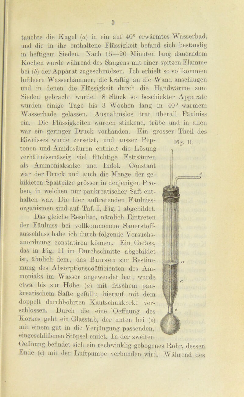 0 tauchte die Kugel (a) in ein auf 40° erwarmtes Wasserbad. und die in ihr enthaltene Flussigkeit befand sicli bestlindig in heftigem Sieden. Nacb 15—20 Minuten lang dauerndeni Kocken wurde wahrend des Saugens mit einer spitzen Flamine bei (b) der Apparat zugescbmolzen. Ieb erhielt so vollkommen lni'tleere Wasserhammer, die kraftig an die Wand anschlugen und in denen die Flussigkeit durch die Handwarme zum Sieden gebracbt wurde. 8 Stuck so bescliickter Apparate warden einige Tage bis 8 Wochen lang in 40° warraeni Wasserbade gelassen. Ausnahmslos trat iiberall Faulniss ein. Die Fliissigkeiten wurden stinkend, triibe und in alien war ein geringer Druck vorhanden. Ein grosser Theil des Eiweisses wurde zersetzt, und ausser Pep- tonen und Amidosauren entbielt die Losung verhaltnissmassig viel flucbtige Fettsauren als Ammoniaksalze und Indol. Constant war der Druck und aucli die Menge der ge- bildeten Spaltpilze grosser in denjenigen Pro- ben, in welchen nur pankreatisclier Saft ent- halten war. Die bier auftretenden Faulniss- organismen sind auf Taf. I, Fig. 1 abgebildet. Das gleicbe Resultat, namlich Eintreten der Faulniss bei vollkommenem Sauerstoff- ausschluss babe icb durcb folgende Yersuchs- anoi'dnung constatiren konnen. Ein Grefass, das in Fig. II itn Durcbscbnitte abgebildet ist, ahnbcb dem, das Bunsen zur Bestim- mung des Absorptionscoefbcienten des Am- moniaks im Wasser angewendet bat, wurde etwa bis zur Holie (a) mit friscbem pan- kreatischem Safte gefullt; hierauf mit dem doppelt durchbobrten Kautscbukkorke ver- schlossen. Durch die eiue Oeffnung des Korkes geht ein Grlasstab, der unten bei (c) mit einem gut in die Verjiingung passenden, eingescblift'enen Stopsel endet. In der zweiten Oeffnung befindet sich ein recliwinklig gebogenes Rolir, dessen Eude (e) mit der Luftpumpe verbunden wird. Wabrend des