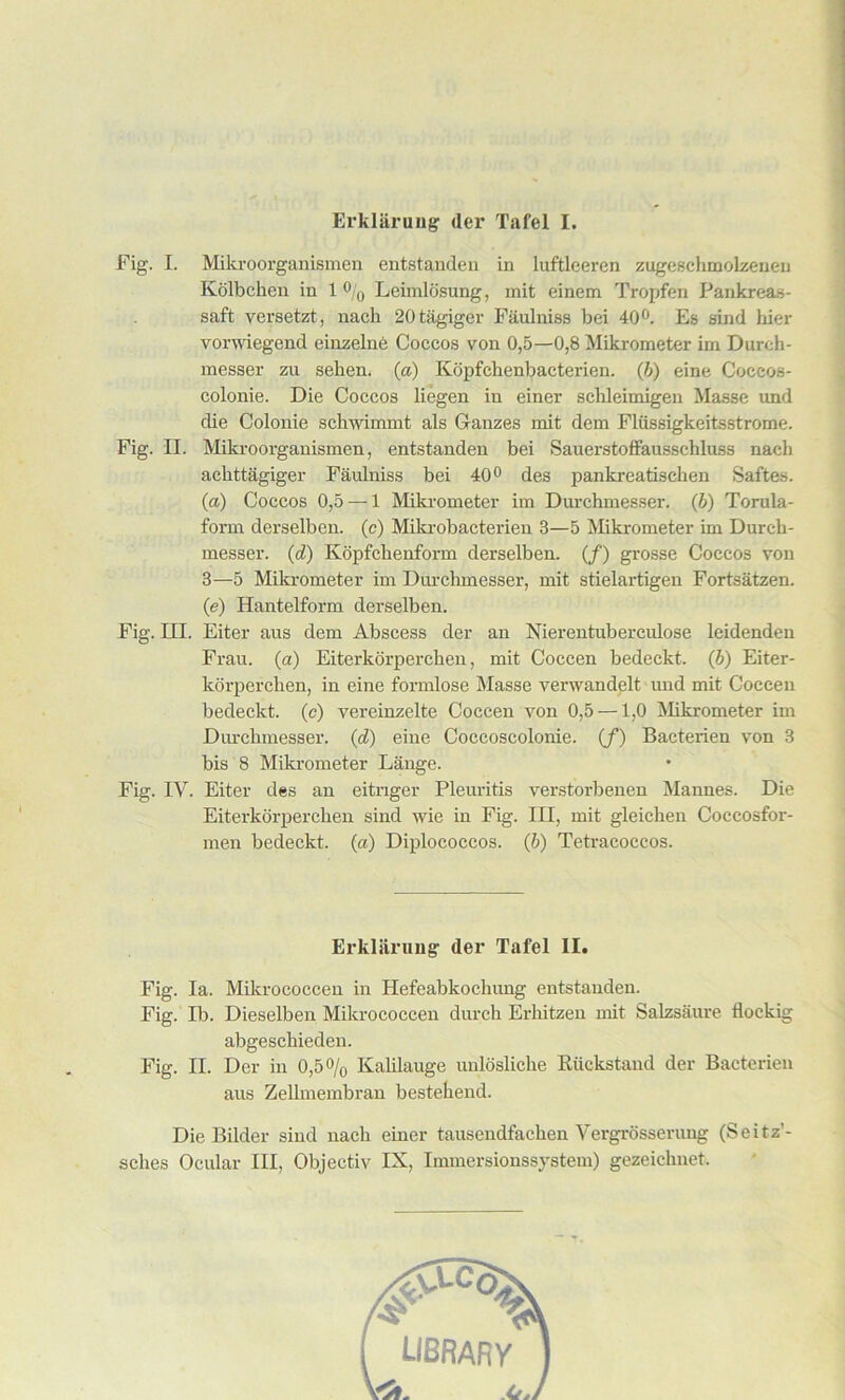 Erklarung der Tafel I. Fig. I. Mikroorganismen entstanden in luftleeren zugeschmolzenen Kolbchen in 1 % Leimlosung, mit einem Tropfen Pankreas- saft versetzt, nach 20tagiger Faulniss bei 40°. Es sind hier vonviegend einzelne Coccos von 0,5—0,8 Mikrometer im Durcli- messer zu sehen. (a) Kopfchenbacterien. (b) eine Coccos- colonie. Die Coccos liegen in einer schleimigen Masse und die Colonie schwimmt als Ganzes mit dem Fliissigkeitsstrome. Fig. II. Mikroorganismen, entstanden bei Sauerstoffausschluss nach achttagiger Faulniss bei 40° des pankreatischen Saftes. (a) Coccos 0,5 — 1 Mikrometer im Durehmesser. (b) Torula- form derselben. (c) Mikrobacterien 3—5 Mikrometer im Durch- messer. (d) Kopfckenform derselben. (/) grosse Coccos von 3—5 Mikrometer im Durehmesser, mit stielartigen Fortsatzen. (e) Hantelform derselben. Fig. III. Eiter aus dem Abscess der an Nierentuberculose leidenden Frau, (a) Eiterkorperchen, mit Coccen bedeckt. (b) Eiter- korperchen, in eine formlose Masse verwandelt und mit Coccen bedeckt. (c) vereinzelte Coccen von 0,5 —1,0 Mikrometer im Durehmesser. (d) eine Coccoscolonie. (f) Bacterien von 3 bis 8 Mikrometer Lange. Fig. IY. Eiter des an eitnger Pleuritis verstorbenen Mannes. Die Eiterkorperchen sind wie in Fig. Ill, mit gleichen Coccosfor- men bedeckt. (a) Diplococcos. (b) Tetracoecos. Erkliiruug der Tafel II. Fig. Ia. Mikrococcen in Hefeabkochung entstanden. Fig. Ib. Dieselben Mikrococcen durch Erhitzen mit Salzsaure flockig abgeschieden. Fig. II. Der in 0,5% Kalilauge unlosliche Riickstand der Bacterien aus Zellmembran bestehend. Die Bilder sind nach einer tausendfachen Vergrosserung (Seitz’- sches Ocular III, Objectiv IX, Immersionssystem) gezeichnet.