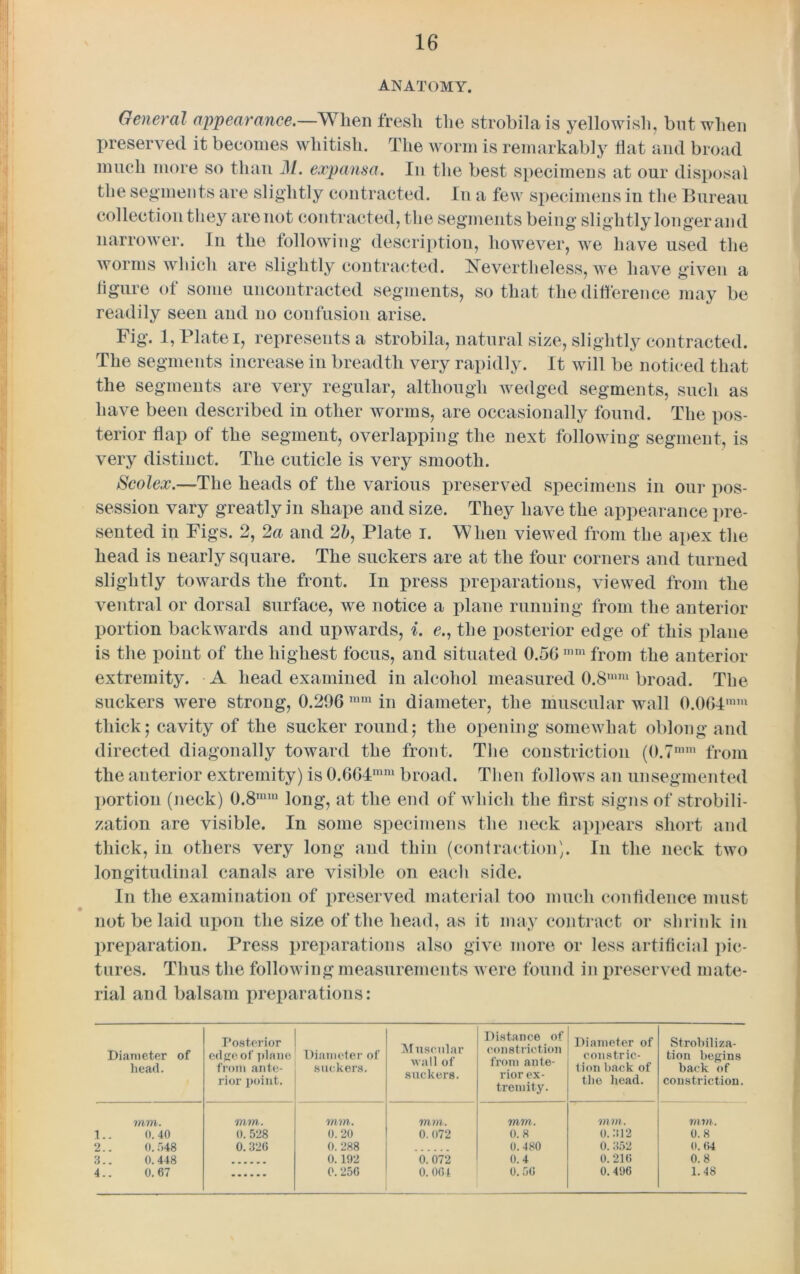 ANATOMY. General appearance.—When fresh the strobilais yellowish, but when preserved it becomes whitish. The worm is remarkably Hat and broad much more so than il/. expansa. In the best specimens at our disposal the segments are slightly contracted. In a few specimens in the Bureau collection they are not contracted, the segments being slightly longer and narrower. In the following description, however, we have used the worms which are slightly contracted. Nevertheless, we have given a figure of some uncontracted segments, so that the difference may be readily seen and no confusion arise. Fig. 1, Plate i, represents a strobila, natural size, slightly contracted. The segments increase in breadth very rapidly. It will be noticed that the segments are very regular, although wedged segments, such as have been described in other worms, are occasionally found. The pos- terior flap of the segment, overlapping the next following segment, is very distinct. The cuticle is very smooth. Scolex.—The heads of the various preserved specimens in our pos- session vary greatly in shape and size. They have the appearance pre- sented in Figs. 2, 2a and 2b, Plate i. When viewed from the apex the head is nearly square. The suckers are at the four corners and turned slightly towards the front. In press preparations, viewed from the ventral or dorsal surface, we notice a plane running from the anterior portion backwards and upwards, i. e., the posterior edge of this plane is the point of the highest focus, and situated 0.5G mm from the anterior extremity. A head examined in alcohol measured 0.8miu broad. The suckers were strong, 0.296 ram in diameter, the muscular wall 0.064mm thick; cavity of the sucker round; the opening somewhat oblong and directed diagonally toward the front. The constriction (0.7mni from the anterior extremity) is 0.664mm broad. Then follows an unsegmented portion (neck) 0.8miu long, at the end of which the first signs of strobili- zation are visible. In some specimens the neck appears short and thick, in others very long and thin (contraction). In the neck two longitudinal canals are visible on each side. In the examination of preserved material too much confidence must not be laid upon the size of the head, as it may contract or shrink in preparation. Press preparations also give more or less artificial pic- tures. Thus the following measurements were found in preserved mate- rial and balsam preparations: Diameter of head. Posterior edge of plane from ante- rior point. Diameter of suckers. Muscular wall of suckers. Distance of constriction from ante- rior ex- tremity. Diameter of constric- tion back of the head. Strobiliza- tion begins back of constriction. mm. mm. mm. mm. mm. mm. mm. 1.. 0.40 0. 528 0.20 0. 072 0.8 0.312 0.8 2.. 0.548 0.326 0. 288 0.480 0. 352 0.64 3.. 0.448 0.102 0. 072 0.4 0.216 0.8 4.. 0.67 0. 25G 0. 004 0.56 0. 406 1.48