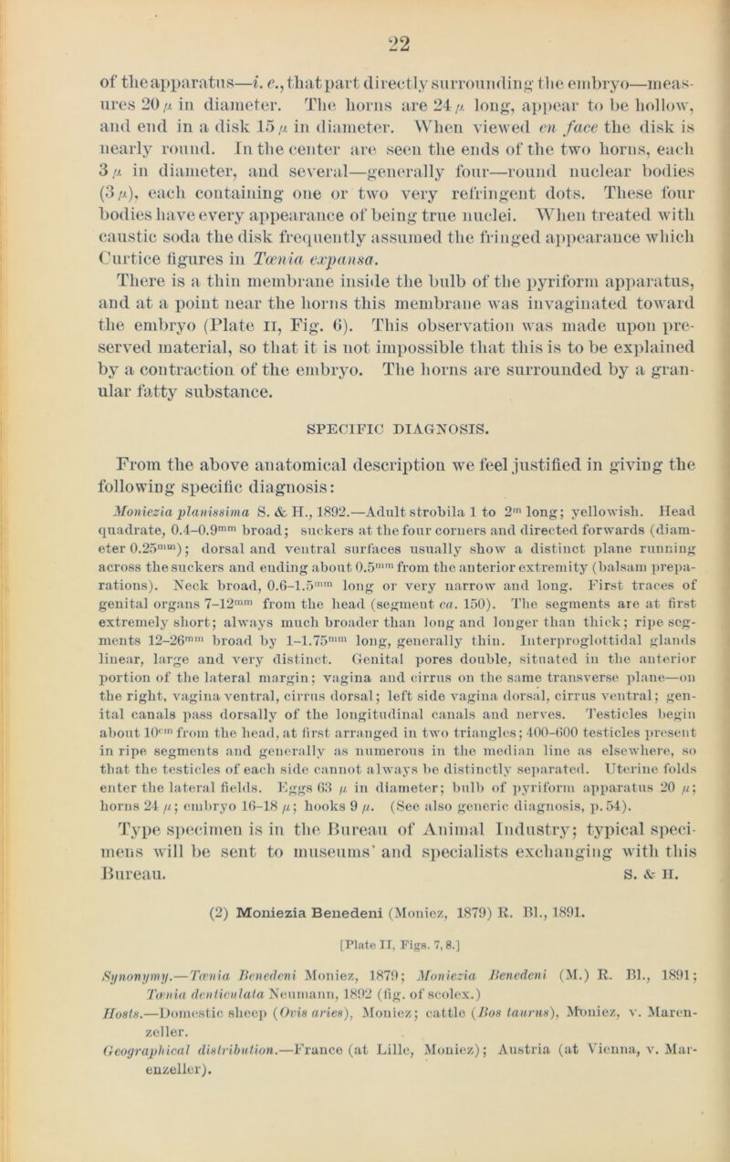 of theapparatus—i. e., tliat part directly surrounding the embryo—meas- ures 20 ,u in diameter. The liorns are 24// long, appear to be hollow, and end in a disk 15// in diameter. When viewed en face the disk is nearly round. In the center are seen the ends of the two horns, each 3// in diameter, and several—generally four—round nuclear bodies (3//), each containing one or two very refringent dots. These four bodies have every appearance of being true nuclei. When treated with caustic soda the disk frequently assumed the fringed appearance which Curtice figures in Taenia expansa. There is a thin membrane inside the bulb of the pyriform apparatus, aud at a point near the horns this membrane was invaginated toward the embryo (Plate n, Fig. fi). This observation was made upon pre- served material, so that it is not impossible that this is to be explained by a contraction of the embryo. The horns are surrounded by a gran- ular fatty substance. SPECIFIC DIAGNOSIS. From the above anatomical description we feel justified in giving the following specific diagnosis: Moniezia pianissimo, S. & H., 1892.—Adult strobila 1 to 2m long; yellowish. Head quadrate, 0.4-0.9mm broad; suckers at the four corners and directed forwards (diam- eter 0.25nim); dorsal and ventral surfaces usually show a distinct plane running across the suckers and ending about 0.5mm from the anterior extremity (balsam prepa- rations). Neck broad, 0.6-1.5mtn long or very narrow and long. First traces of genital organs 7-12mm from the head (segment ca. 150). The segments are at first extremely short; always much broader than long and louger than thick; ripe seg- ments 12-26mm broad by l-1.75mm long, generally thin. Interproglottidal glands linear, large and very distinct. Genital pores double, situated in the anterior portion of the lateral margin; vagina and cirrus on the same transverse plane—on the right, vagina ventral, cirrus dorsal; left side vagina dorsal, cirrus ventral; gen- ital canals pass dorsally of the longitudinal canals and nerves. Testicles begin about 10cmfrom the head, at first arranged in two triangles; 400-000 testicles present in ripe segments and generally as numerous in the median line as elsewhere, so that the testicles of each side cannot always be distinctly separated. Uterine folds enter the lateral fields. Eggs 63 // in diameter; bulb of pyriform apparatus 20 //; horns 24 //; embryo 16-18 //; hooks 9 //. (See also generic diagnosis, p.54). Type specimen is in the Bureau of Animal Industry; typical speci- mens will be sent to museums* and specialists exchanging’ with this Bureau. s. & n. (2) Moniezia Benedeni (Moniez, 1879) R. Bl., 1891. [Plate II, Figs. 7,8.] Synonymy.—Taenia Benedeni Moniez, 1879; Moniezia Benedeni (M.) R. Bl., 1891; Taenia denticulata Neumann, 1892 (fig. of scolex.) Hosts.—Domestic sheep (Oris aries), Moniez; cattle (Bos Iannis), Moniez, v. Maren- zeller. Geographical distribution.—France (at Lille, Moniez); Austria (at Vienna, v. Mar- enzeller).