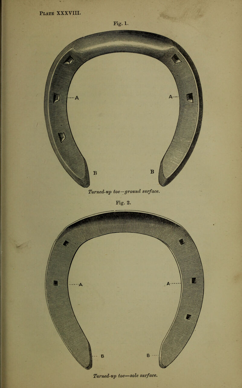 Fig. 1, Turned-up toe—ground surface.