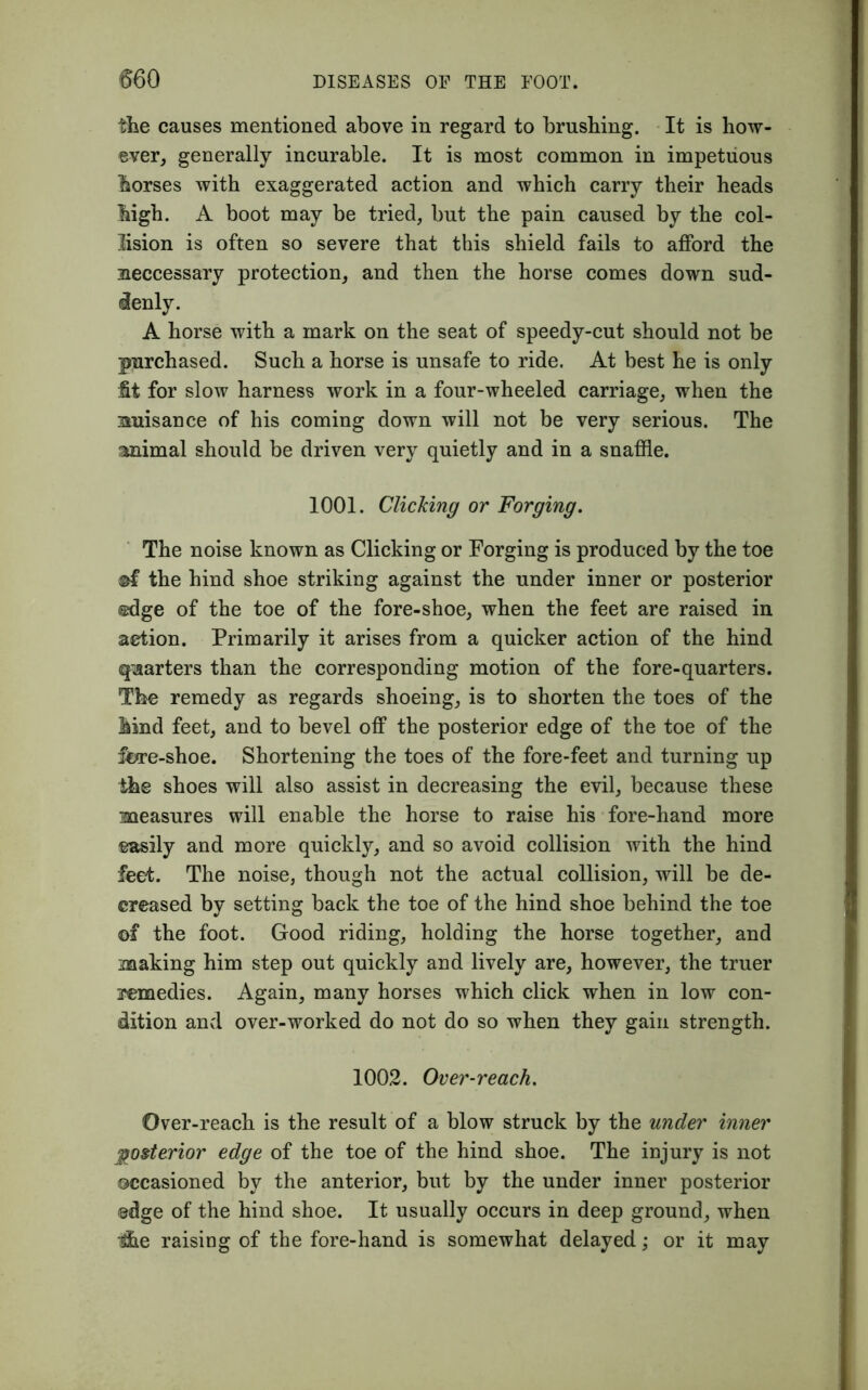 flie causes mentioned above in regard to brushing. It is how- ever, generally incurable. It is most common in impetuous lorses with exaggerated action and which carry their heads high. A boot may be tried, but the pain caused by the col- lision is often so severe that this shield fails to afford the aeccessary protection, and then the horse comes down sud- denly. A horse with a mark on the seat of speedy-cut should not be purchased. Such a horse is unsafe to ride. At best he is only fit for slow harness work in a four-wheeled carriage, when the auisance of his coming down will not be very serious. The 'mimal should be driven very quietly and in a snaffle. 1001. Clicking or Forging. The noise known as Clicking or Forging is produced by the toe ®f the hind shoe striking against the under inner or posterior ©dge of the toe of the fore-shoe, when the feet are raised in action. Primarily it arises from a quicker action of the hind quarters than the corresponding motion of the fore-quarters. The remedy as regards shoeing, is to shorten the toes of the hind feet, and to bevel off the posterior edge of the toe of the fcre-shoe. Shortening the toes of the fore-feet and turning up the shoes will also assist in decreasing the evil, because these measures will enable the horse to raise his fore-hand more easily and more quickly, and so avoid collision with the hind feet. The noise, though not the actual collision, will be de- creased by setting back the toe of the hind shoe behind the toe of the foot. Good riding, holding the horse together, and making him step out quickly and lively are, however, the truer remedies. Again, many horses which click when in low con- dition and over-worked do not do so when they gain strength. 1002. Over-reach. Over-reach is the result of a blow struck by the under inner posterior edge of the toe of the hind shoe. The injury is not occasioned by the anterior, but by the under inner posterior edge of the hind shoe. It usually occurs in deep ground, when i&e raising of the fore-hand is somewhat delayed; or it may