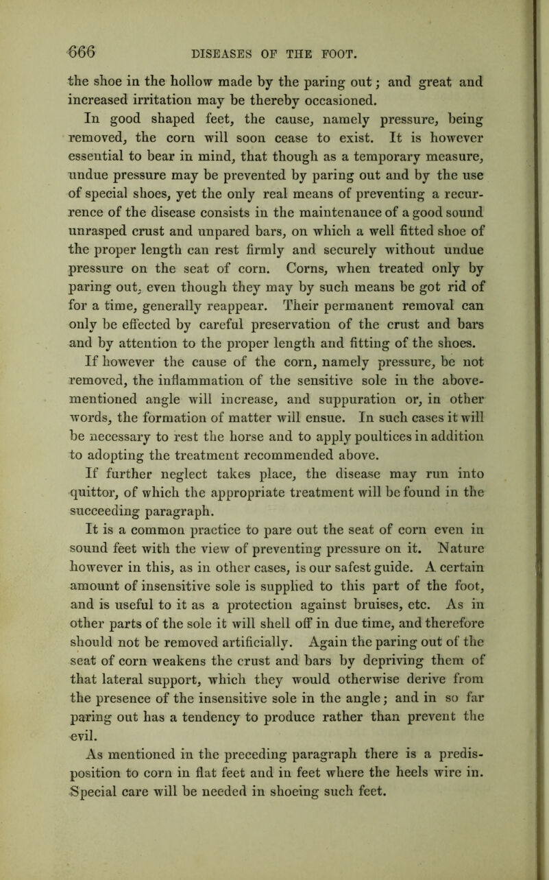 the shoe in the hollow made by the paring out; and great and increased irritation may be thereby occasioned. In good shaped feet, the cause, namely pressure, being removed, the corn will soon cease to exist. It is however essential to bear in mind, that though as a temporary measure, undue pressure may be prevented by paring out and by the use of special shoes, yet the only real means of preventing a recur- rence of the disease consists in the maintenance of a good sound unrasped crust and unpared bars, on which a well fitted shoe of the proper length can rest firmly and securely without undue pressure on the seat of corn. Corns, when treated only by paring out, even though they may by such means be got rid of for a time, generally reappear. Their permanent removal can only be effected by careful preservation of the crust and bars and by attention to the proper length and fitting of the shoes. If however the cause of the corn, namely pressure, be not removed, the inflammation of the sensitive sole in the above- mentioned angle will increase, and suppuration or, in other words, the formation of matter will ensue. In such cases it will be necessary to rest the horse and to apply poultices in addition to adopting the treatment recommended above. If further neglect takes place, the disease may run into quittor, of which the appropriate treatment will be found in the succeeding paragraph. It is a common practice to pare out the seat of corn even in sound feet with the view of preventing pressure on it. Nature however in this, as in other cases, is our safest guide. A certain amount of insensitive sole is supplied to this part of the foot, and is useful to it as a protection against bruises, etc. As in other parts of the sole it will shell off in due time, and therefore should not be removed artificially. Again the paring out of the seat of corn weakens the crust and bars by depriving them of that lateral support, which they would otherwise derive from the presence of the insensitive sole in the angle; and in so far paring out has a tendency to produce rather than prevent the evil. As mentioned in the preceding paragraph there is a predis- position to corn in flat feet and in feet where the heels wire in. Special care will be needed in shoeing such feet.
