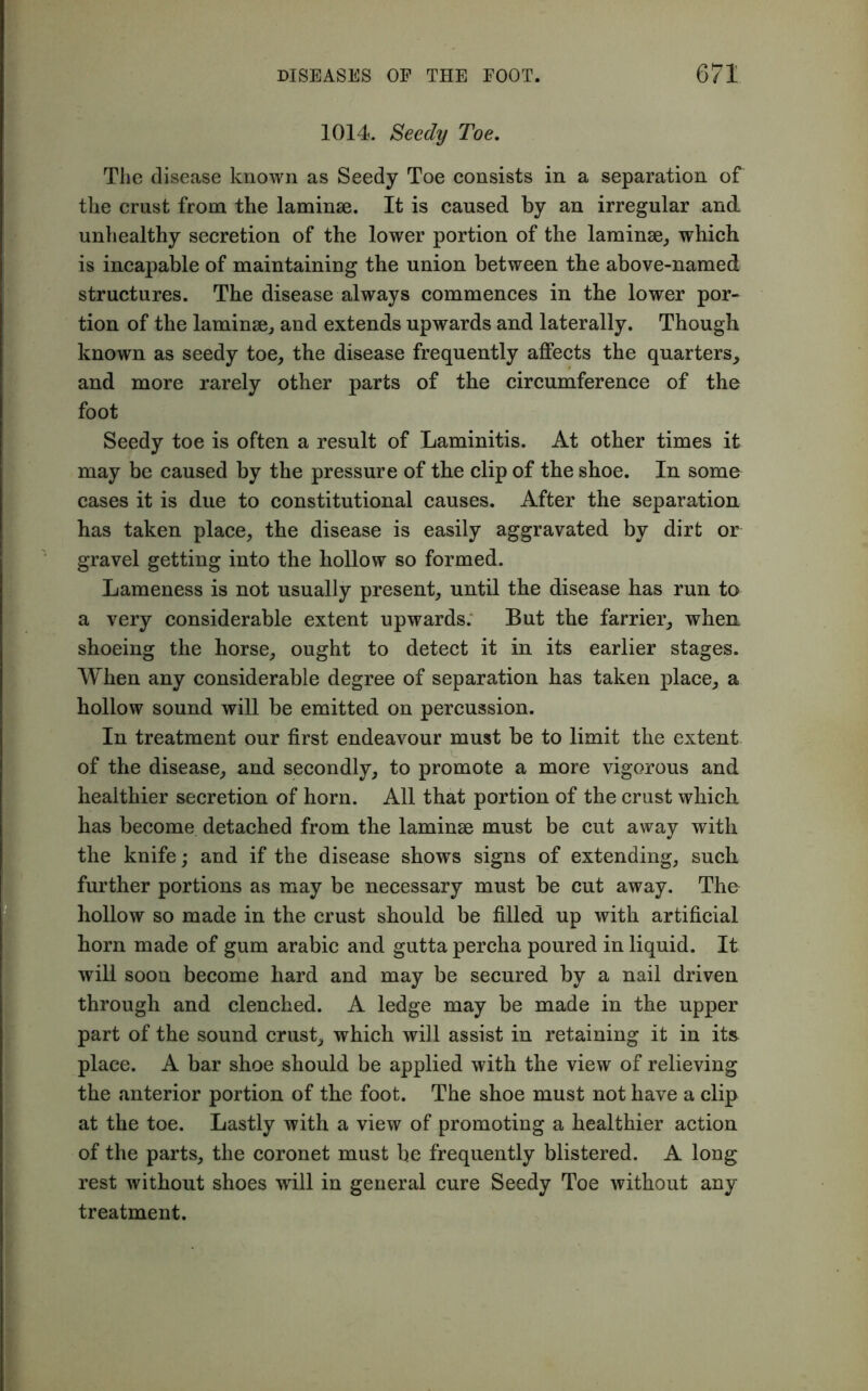 1014. Seedy Toe. The disease known as Seedy Toe consists in a separation of the crust from the laminae. It is caused by an irregular and unhealthy secretion of the lower portion of the laminae, which is incapable of maintaining the union between the above-named structures. The disease always commences in the lower por- tion of the laminae, and extends upwards and laterally. Though known as seedy toe, the disease frequently affects the quarters, and more rarely other parts of the circumference of the foot Seedy toe is often a result of Laminitis. At other times it may be caused by the pressure of the clip of the shoe. In some cases it is due to constitutional causes. After the separation has taken place, the disease is easily aggravated by dirt or gravel getting into the hollow so formed. Lameness is not usually present, until the disease has run to a very considerable extent upwards. But the farrier, when shoeing the horse, ought to detect it in its earlier stages. When any considerable degree of separation has taken place, a hollow sound will be emitted on percussion. In treatment our first endeavour must be to limit the extent of the disease, and secondly, to promote a more vigorous and healthier secretion of horn. All that portion of the crust which has become detached from the laminae must be cut away with the knife; and if the disease shows signs of extending, such further portions as may be necessary must be cut away. The hollow so made in the crust should be filled up with artificial horn made of gum arabic and gutta percha poured in liquid. It will soon become hard and may be secured by a nail driven through and clenched. A ledge may be made in the upper part of the sound crust, which will assist in retaining it in its- place. A bar shoe should be applied with the view of relieving the anterior portion of the foot. The shoe must not have a clip at the toe. Lastly with a view of promoting a healthier action of the parts, the coronet must be frequently blistered. A long rest without shoes wrill in general cure Seedy Toe without any treatment.