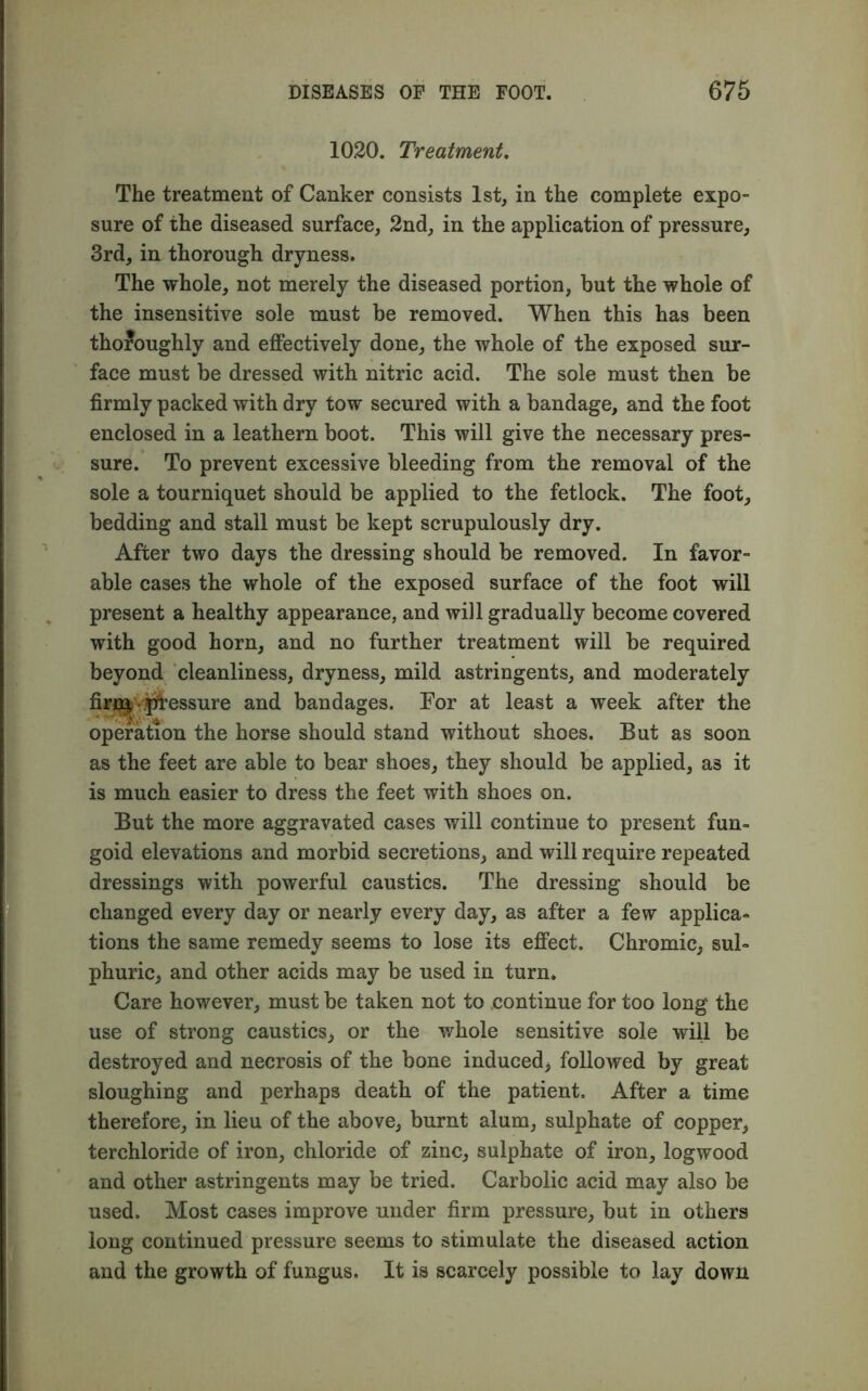 1020. Treatment. The treatment of Canker consists 1st, in the complete expo- sure of the diseased surface, 2nd, in the application of pressure, 3rd, in thorough dryness. The whole, not merely the diseased portion, but the whole of the insensitive sole must be removed. When this has been thoroughly and effectively done, the whole of the exposed sur- face must be dressed with nitric acid. The sole must then be firmly packed with dry tow secured with a bandage, and the foot enclosed in a leathern boot. This will give the necessary pres- sure. To prevent excessive bleeding from the removal of the sole a tourniquet should be applied to the fetlock. The foot, bedding and stall must be kept scrupulously dry. After two days the dressing should be removed. In favor- able cases the whole of the exposed surface of the foot will present a healthy appearance, and will gradually become covered with good horn, and no further treatment will be required beyond cleanliness, dryness, mild astringents, and moderately firo£ • pressure and bandages. For at least a week after the operation the horse should stand without shoes. But as soon as the feet are able to bear shoes, they should be applied, as it is much easier to dress the feet with shoes on. But the more aggravated cases will continue to present fun- goid elevations and morbid secretions, and will require repeated dressings with powerful caustics. The dressing should be changed every day or nearly every day, as after a few applica- tions the same remedy seems to lose its effect. Chromic, sul- phuric, and other acids may be used in turn. Care however, must be taken not to continue for too long the use of strong caustics, or the whole sensitive sole will be destroyed and necrosis of the bone induced, followed by great sloughing and perhaps death of the patient. After a time therefore, in lieu of the above, burnt alum, sulphate of copper, terchloride of iron, chloride of zinc, sulphate of iron, logwood and other astringents may be tried. Carbolic acid may also be used. Most cases improve under firm pressure, but in others long continued pressure seems to stimulate the diseased action and the growth of fungus. It is scarcely possible to lay down