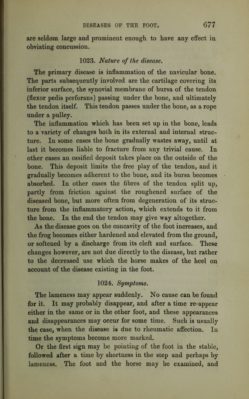 are seldom large and prominent enough to have any effect in obviating concussion. 1023. Nature of the disease. The primary disease is inflammation of the navicular bone. The parts subsequently involved are the cartilage covering its inferior surface,, the synovial membrane of bursa of the tendon (flexor pedis perforans) passing under the hone, and ultimately the tendon itself. This tendon passes under the bone, as a rope under a pulley. The inflammation which has been set up in the bone, leads to a variety of changes both in its external and internal struc- ture. In some cases the bone gradually wastes away, until at last it becomes liable to fracture from any trivial cause. In other cases an ossified deposit takes place on the outside of the bone. This deposit limits the free play of the tendon, and it gradually becomes adherent to the bone, and its bursa becomes absorbed. In other cases the fibres of the tendon split up, partly from friction against the roughened surface of the diseased bone, but more often from degeneration of its struc- ture from the inflammatory action, which extends to it from the bone. In the end the tendon may give way altogether. As the disease goes on the concavity of the foot increases, and the frog becomes either hardened and elevated from the ground, or softened by a discharge from its cleft and surface. These changes however, are not due directly to the disease, but rather to the decreased use which the horse makes of the heel on account of the disease existing in the foot. 1024. Symptoms. The lameness may appear suddenly. No cause can be found for it. It may probably disappear, and after a time re-appear either in the same or in the other foot, and these appearances and disappearances may occur for some time. Such is usually the case, when the disease is due to rheumatic affection. In time the symptoms become more marked. Or the first sign may be pointing of the foot in the stable, followed after a time by shortness in the step and perhaps by lameness. The foot and the horse may be examined, and
