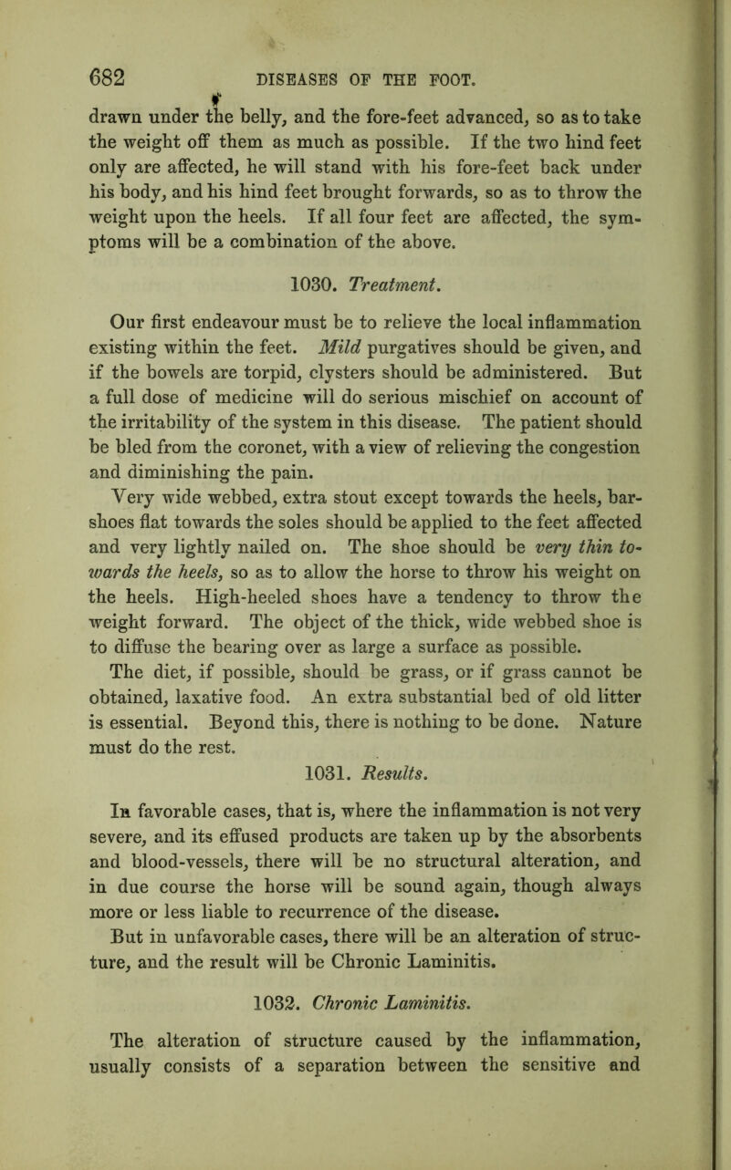 drawn under the belly, and the fore-feet advanced, so as to take the weight off them as much as possible. If the two hind feet only are affected, he will stand with his fore-feet back under his body, and his hind feet brought forwards, so as to throw the weight upon the heels. If all four feet are affected, the sym- ptoms will be a combination of the above. 1030. Treatment. Our first endeavour must be to relieve the local inflammation existing within the feet. Mild purgatives should be given, and if the bowels are torpid, clysters should be administered. But a full dose of medicine will do serious mischief on account of the irritability of the system in this disease. The patient should be bled from the coronet, with a view of relieving the congestion and diminishing the pain. Yery wide webbed, extra stout except towards the heels, bar- shoes flat towards the soles should be applied to the feet affected and very lightly nailed on. The shoe should be very thin to- wards the heels, so as to allow the horse to throw his weight on the heels. High-heeled shoes have a tendency to throw the weight forward. The object of the thick, wide webbed shoe is to diffuse the bearing over as large a surface as possible. The diet, if possible, should be grass, or if grass cannot be obtained, laxative food. An extra substantial bed of old litter is essential. Beyond this, there is nothing to be done. Nature must do the rest. 1031. Results. In favorable cases, that is, where the inflammation is not very severe, and its effused products are taken up by the absorbents and blood-vessels, there will be no structural alteration, and in due course the horse will be sound again, though always more or less liable to recurrence of the disease. But in unfavorable cases, there will be an alteration of struc- ture, and the result will be Chronic Laminitis. 1032. Chronic Laminitis. The alteration of structure caused by the inflammation, usually consists of a separation between the sensitive and