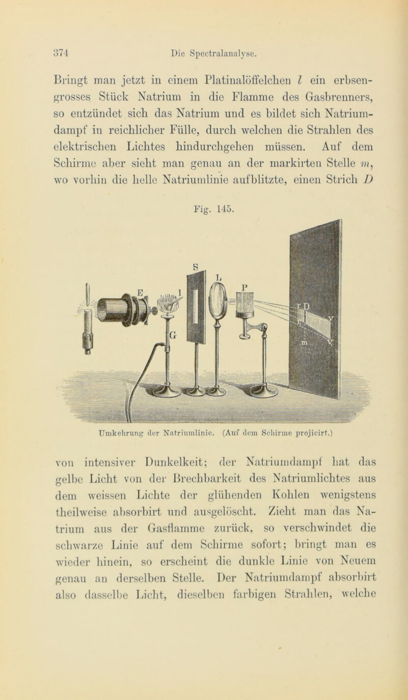 lU'ingt man jetzt in einem Platinalötfelclien l ein erbsen- grosses Stück Natrium in die Flamme des Gasbrenners, so entzündet sich das Natrium und es bildet sich Natrium- dampf in reichlicher Fülle, durch welchen die Strahlen des elektrischen Lichtes hindurchgehen müssen. Auf dem Schirme aber sieht man genau an der markirten Stelle wo vorhin die helle Natriumlinie aufblitzte, einen Strich D Umkelirung' der N.atriumlinie. (Auf dein Scliinne projicirt.) von intensiver Dunkelheit; der Natriumdampt hat das gell)e Licht von der Brechbarkeit des Natriumlichtes aus dem weissen Lichte der glühenden Kohlen wenigstens theilweise absorbirt und ausgelöscht. Zieht man das Na- trium aus der Gasflamme zurück, so verschwindet die schwarze Linie auf dem Schirme sofort; bringt man es wieder hinein, so erscheint die dunkle Linie von Neuem genau an derselben Stelle. Der Natriumdampf absorbirt also (lassell)e Liebt, diescll)cn faiLigen Strahlen, welche