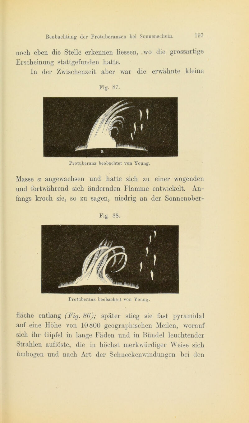 noch eben die Stelle erkennen Hessen, wo die grossartige Erscheinung stattgefunden hatte. In der Zwischenzeit aber war die erwähnte kleine Fig. 87. Protuberanz beobachtet von Young. Masse a angewachsen und hatte sich zu einer wogenden und fortwährend sich ändernden Flamme entwickelt. An- fangs kroch sie, so zu sagen, niedrig an der Sonnenober- Fig. 88. Protuberanz beobachtet von Young. fläche entlang (Fig. 86); später stieg sie fast pyramidal auf eine Höhe von 10800 geographischen Meilen, worauf sich ihr Gipfel in lange Fäden und in Bündel leuchtender Strahlen auflöste, die in höchst merkwürdiger Weise sich umbogen und nach Art der Schnecken Windungen hei den