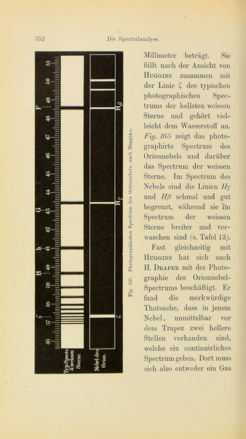 Millimeter beträgt. Sie fällt nach der Ansicht von Huggins zusammen mit der Linie £ des typischen photographischen Spec- trums der hellsten weissen Sterne und gehört viel- leicht dem Wasserstoff an. Fig. 165 zeigt das photo- graphirte Spectrum des Orionnebels und darüber das Spectrum der weissen Sterne. Im Spectrum des Nebels sind die Linien Hy und Hß schmal und gut begrenzt, während sie im Spectrum der weissen Sterne breiter und ver- waschen sind (s. Tafel 13). Fast gleichzeitig mit Huggins hat sich auch H. Draper mit der Photo- graphie des Orionnebel- Spectrums beschäftigt. Er fand die merkwürdige Thatsache, dass in jenem Nebel, unmittelbar vor dem Trapez zwei hellere Stellen vorhanden sind, welche ein continuirliches Spectrum geben. Dort muss sich also entweder ein Gas