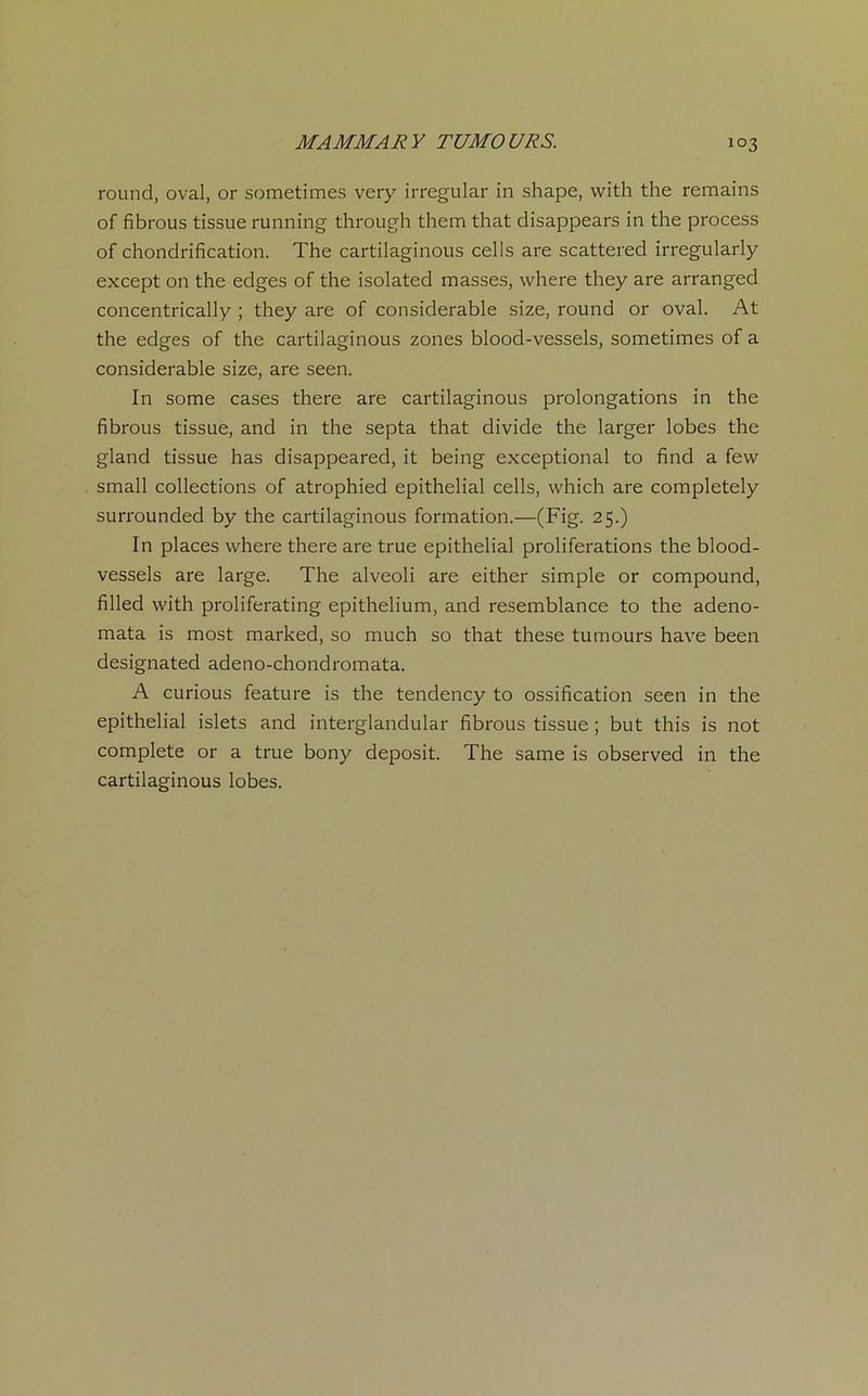 round, oval, or sometimes very irregular in shape, with the remains of fibrous tissue running through them that disappears in the process of chondrification. The cartilaginous cells are scattered irregularly except on the edges of the isolated masses, where they are arranged concentrically ; they are of considérable size, round or oval. At the edges of the cartilaginous zones blood-vessels, sometimes of a considérable size, are seen. In some cases there are cartilaginous prolongations in the fibrous tissue, and in the septa that divide the larger lobes the gland tissue has disappeared, it being exceptional to find a few small collections of atrophied épithélial cells, which are completely surrounded by the cartilaginous formation.—(Fig. 25.) In places where there are true épithélial proliférations the blood- vessels are large. The alveoli are either simple or compound, filled with proliferating epithelium, and resemblance to the adeno- mata is most marked, so much so that these tumours hâve been designated adeno-chondromata. A curious feature is the tendency to ossification seen in the épithélial islets and interglandular fibrous tissue ; but this is not complété or a true bony deposit. The same is observed in the cartilaginous lobes.