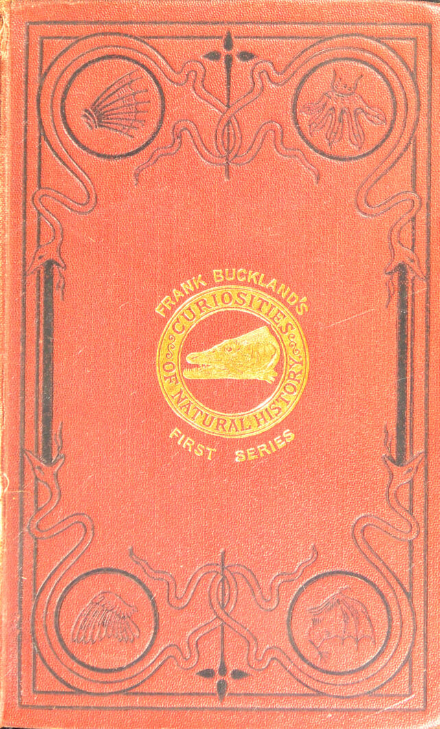 digitised image 1