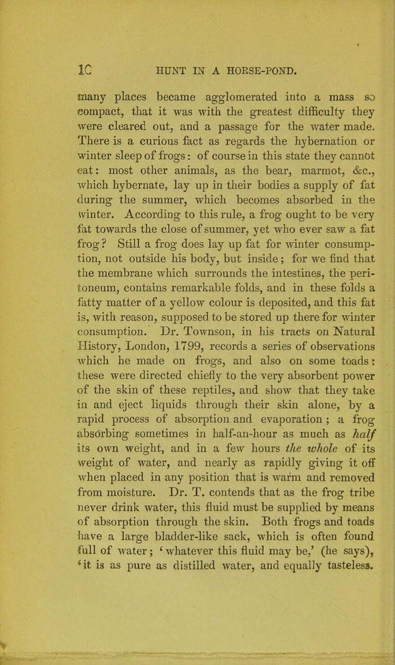 snany places became agglomerated into a mass so compact, that it was with the greatest difficulty they were cleared out, and a passage for the water made. There is a curious fact as regards the hybernation or winter sleep of frogs: of course in this state they cannot eat: most other animals, as the bear, marmot, &c., which hybernate, lay up in their bodies a supply of fat during the summer, which becomes absorbed in the winter. According to this rule, a frog ought to be very fat towards the close of summer, yet who ever saw a fat frog ? Still a frog does lay up fat for winter consump- tion, not outside his body, but inside; for we find that the membrane which surrounds the intestines, the peri- toneum, contains remarkable folds, and in these folds a fatty matter of a yellow colour is deposited, and this fat is, with reason, supposed to be stored up there for winter consumption. Dr. Townson, in his tracts on Natural History, London, 1799, records a series of observations which he made on frogs, and also on some toads; these were directed chiefly to the very absorbent power of the skin of these reptiles, and show that they take in and eject liquids through their skin alone, by a rapid process of absorption and evaporation; a frog absorbing sometimes in half-an-hour as much as half its own weight, and in a few hours the whole of its weight of water, and nearly as rapidly giving it off when placed in any position that is warm and removed from moisture. Dr. T. contends that as the frog tribe never drink water, this fluid must be supplied by means of absorption through the skin. Both frogs and toads have a large bladder-like sack, which is often found full of water; ‘ whatever this fluid may be,’ (he says), cit is as pure as distilled water, and equally tasteless.
