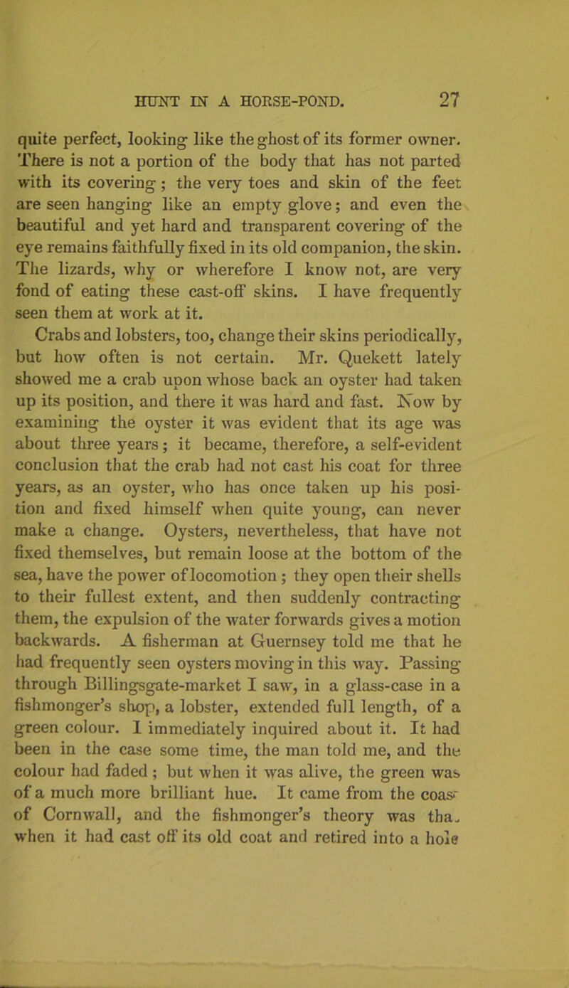 quite perfect, looking like the ghost of its former owner. There is not a portion of the body that has not parted with its covering; the very toes and skin of the feet are seen hanging like an empty glove; and even the beautiful and yet hard and transparent covering of the eye remains faithfully fixed in its old companion, the skin. The lizards, why or wherefore I know not, are very fond of eating these cast-off skins. I have frequently seen them at work at it. Crabs and lobsters, too, change their skins periodically, but how often is not certain. Mr. Quekett lately showed me a crab upon whose back an oyster had taken up its position, and there it was hard and fast. ISiow by examining the oyster it was evident that its age was about three years; it became, therefore, a self-evident conclusion that the crab had not cast his coat for three years, as an oyster, who has once taken up his posi- tion and fixed himself when quite young, can never make a change. Oysters, nevertheless, that have not fixed themselves, but remain loose at the bottom of the sea, have the power of locomotion ; they open their shells to their fullest extent, and then suddenly contracting them, the expulsion of the water forwards gives a motion backwards. A fisherman at Guernsey told me that he had frequently seen oysters moving in this way. Passing- through Billingsgate-market I saw, in a glass-case in a fishmonger’s shop, a lobster, extended full length, of a green colour. I immediately inquired about it. It had been in the case some time, the man told me, and the colour had faded; but when it was alive, the green was of a much more brilliant hue. It came from the coas-' of Cornwall, and the fishmonger’s theory was tha. when it had cast off its old coat and retired into a hole