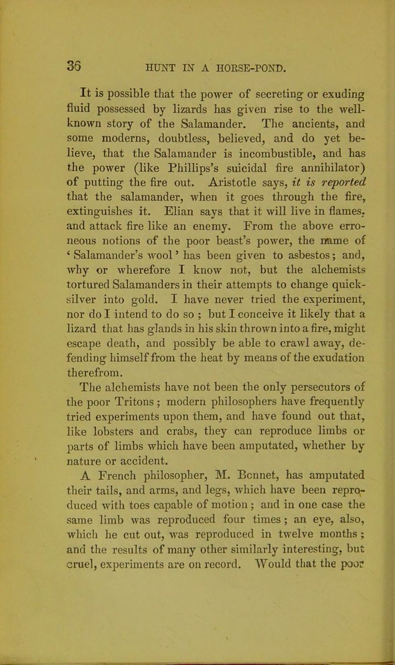 It is possible that the power of secreting or exuding fluid possessed by lizards has given rise to the well- known story of the Salamander. The ancients, and some moderns, doubtless, believed, and do yet be- lieve, that the Salamander is incombustible, and has the power (like Phillips’s suicidal fire annihilator) of putting the fire out. Aristotle says, it is reported that the salamander, when it goes through the fire, extinguishes it. Elian says that it will live in flames, and attack fire like an enemy. From the above erro- neous notions of the poor beast’s power, the name of £ Salamander’s wool ’ has been given to asbestos; and, why or wherefore I know not, but the alchemists tortured Salamanders in their attempts to change quick- silver into gold. I have never tried the experiment, nor do I intend to do so ; but I conceive it likely that a lizard that has glands in his skin thrown into a fire, might escape death, and possibly be able to crawl away, de- fending himself from the heat by means of the exudation therefrom. The alchemists have not been the only persecutors of the poor Tritons ; modern philosophers have frequently tried experiments upon them, and have found out that, like lobsters and crabs, they can reproduce limbs or parts of limbs which have been amputated, whether by nature or accident. A French philosopher, M. Bonnet, has amputated their tails, and arms, and legs, which have been repro-- duced with toes capable of motion ; and in one case the. same limb was reproduced four times; an eye, also, which he cut out, wras reproduced in twelve months; and the results of many other similarly interesting, but cruel, experiments are on record. Would that the poo?