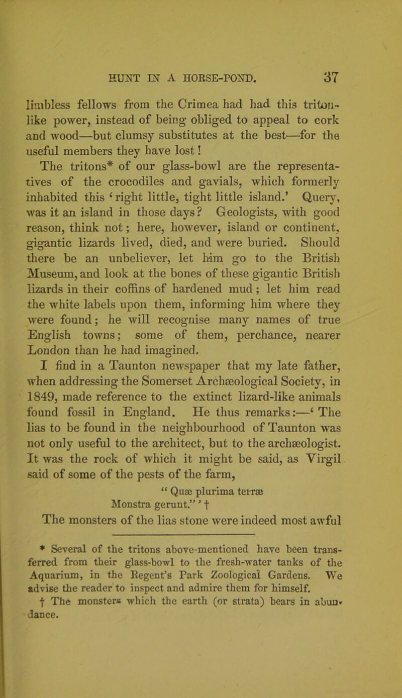 limbless fellows from the Crimea had had this triton- like power, instead of being obliged to appeal to cork and wood—but clumsy substitutes at the best—for the useful members they have lost! The tritons* of our glass-bowl are the representa- tives of the crocodiles and gavials, which formerly inhabited this ‘ right little, tight little island.’ Query, was it an island in those days? Geologists, with good reason, think not; here, however, island or continent, gigantic lizards lived, died, and were buried. Should there be an unbeliever, let h-im go to the British Museum, and look at the bones of these gigantic British lizards in their coffins of hardened mud; let him read the white labels upon them, informing him where they were found; he will recognise many names of true English towns; some of them, perchance, nearer London than he had imagined. I find in a Taunton newspaper that my late father, when addressing the Somerset Archaeological Society, in 1849, made reference to the extinct lizard-like animals found fossil in England. He thus remarks:—‘The lias to be found in the neighbourhood of Taunton was not only useful to the architect, but to the archaeologist. It was the rock of which it might be said, as Virgil said of some of the pests of the farm, “ Quae plurima terra; Monstra gerunt.”' f The monsters of the lias stone were indeed most awful * Several of the tritons above-mentioned have been trans- ferred from their glass-bowl to the fresh-water tanks of the Aquarium, in the Regent’s Park Zoological Gardens. We advise the reader to inspect and admire them for himself. ■f The monsters which the earth (or strata) bears in abun* dance.