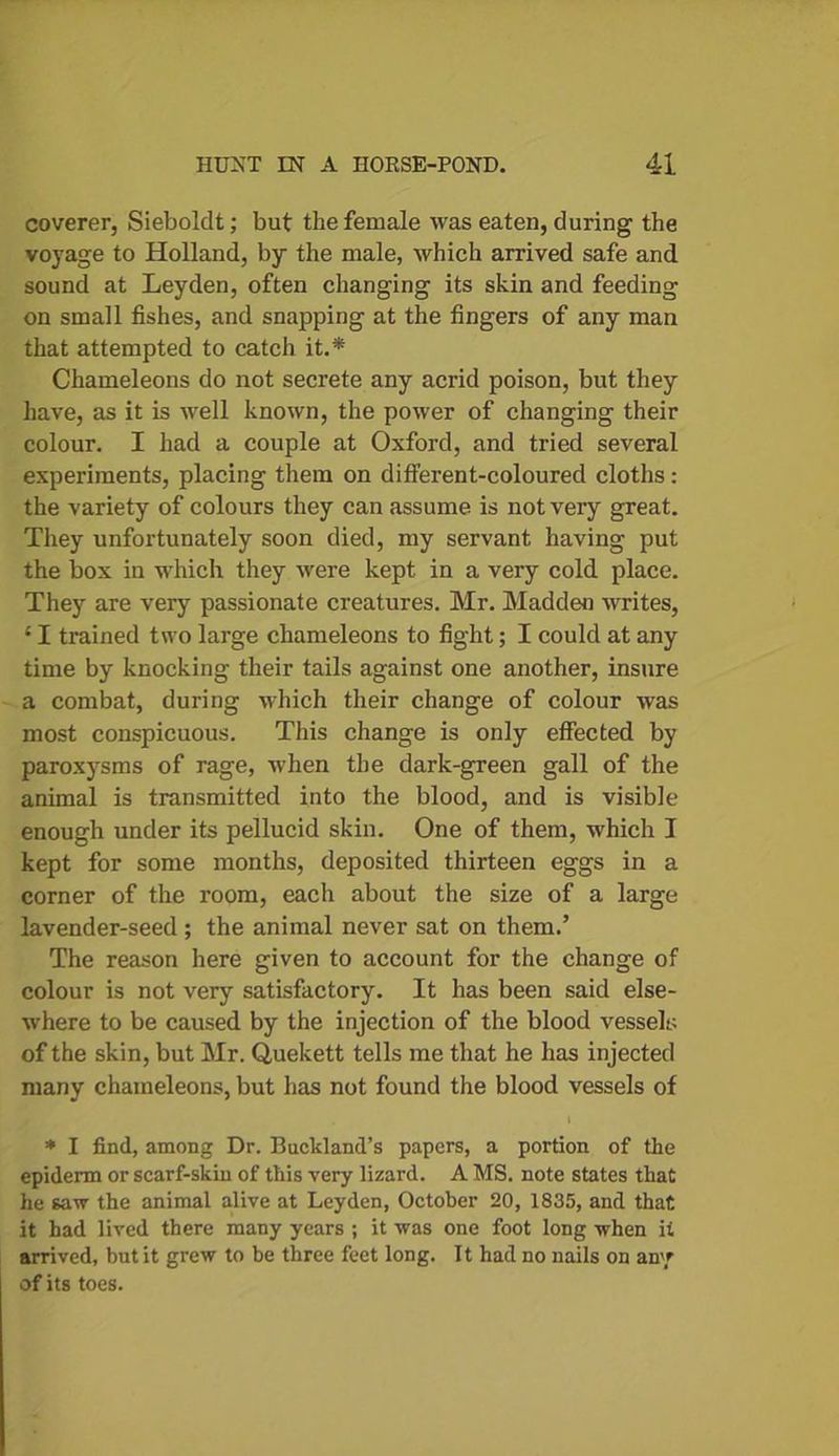 coverer, Sieboldt; but the female was eaten, during the voyage to Holland, by the male, which arrived safe and sound at Leyden, often changing its skin and feeding on small fishes, and snapping at the fingers of any man that attempted to catch it.* Chameleons do not secrete any acrid poison, but they have, as it is well known, the power of changing their colour. I had a couple at Oxford, and tried several experiments, placing them on different-coloured cloths: the variety of colours they can assume is not veiy great. They unfortunately soon died, my servant having put the box in which they were kept in a very cold place. They are very passionate creatures. Mr. Madden writes, {I trained two large chameleons to fight; I could at any time by knocking their tails against one another, insure a combat, during which their change of colour was most conspicuous. This change is only effected by paroxysms of rage, when the dark-green gall of the animal is transmitted into the blood, and is visible enough under its pellucid skin. One of them, which I kept for some months, deposited thirteen eggs in a corner of the room, each about the size of a large lavender-seed ; the animal never sat on them.’ The reason here given to account for the change of colour is not very satisfactory. It has been said else- where to be caused by the injection of the blood vessels of the skin, but Mr. Quekett tells me that he has injected many chameleons, but has not found the blood vessels of * I find, among Dr. Buckland’s papers, a portion of the epiderm or scarf-skin of this very lizard. A MS. note states that he saw the animal alive at Leyden, October 20, 1835, and that it had lived there many years ; it was one foot long when it arrived, but it grew to be three feet long. It had no nails on any of its toes.
