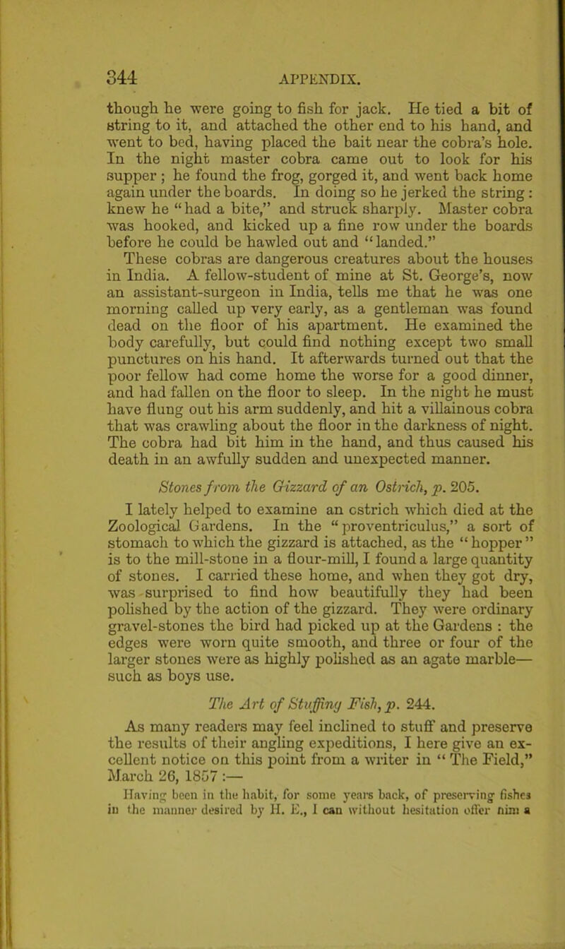 though he were going to fish for jack. He tied a bit of string to it, and attached the other end to his hand, and went to bed, having placed the bait near the cobra’s hole. In the night master cobra came out to look for his supper ; he found the frog, gorged it, and went back home again under the boards. In doing so he jerked the string: knew he “ had a bite,” and struck sharply. Master cobra was hooked, and kicked up a fine row under the boards before he could be hawled out and “landed.” These cobras are dangerous creatures about the houses in India. A fellow-student of mine at St. George’s, now an assistant-surgeon in India, tells me that he was one morning called up very early, as a gentleman was found dead on the floor of his apartment. He examined the body carefully, but could find nothing except two small punctures on his hand. It afterwards turned out that the poor fellow had come home the worse for a good dinner, and had fallen on the floor to sleep. In the night he must have flung out his arm suddenly, and hit a villainous cobra that was crawling about the floor in the darkness of night. The cobra had bit him in the hand, and thus caused his death in an awfully sudden and unexpected manner. Stones f rom the Gizzard of an Ostrich, p. 205. I lately helped to examine an ostrich which died at the Zoological Gardens. In the “ proventriculus,” a sort of stomach to which the gizzard is attached, as the “ hopper ” is to the mill-stoue in a flour-mill, I found a large quantity of stones. I carried these home, and when they got dry, was surprised to find how beautifully they had been polished by the action of the gizzard. They were ordinary gravel-stones the bird had picked up at the Gardens : the edges were worn quite smooth, and three or four of the larger stones were as highly polished as an agate marble— such as boys use. The Art of Stuffing Fish,p. 244. As many readers may feel inclined to stuff and preserve the results of their angling expeditions, I here give an ex- cellent notice on this point from a writer in “ The Field,” March 26, 1857 :— Having been in the habit, for some years back, of preserving- fishes in the manner desired by II. E., I can without hesitation offer nim a