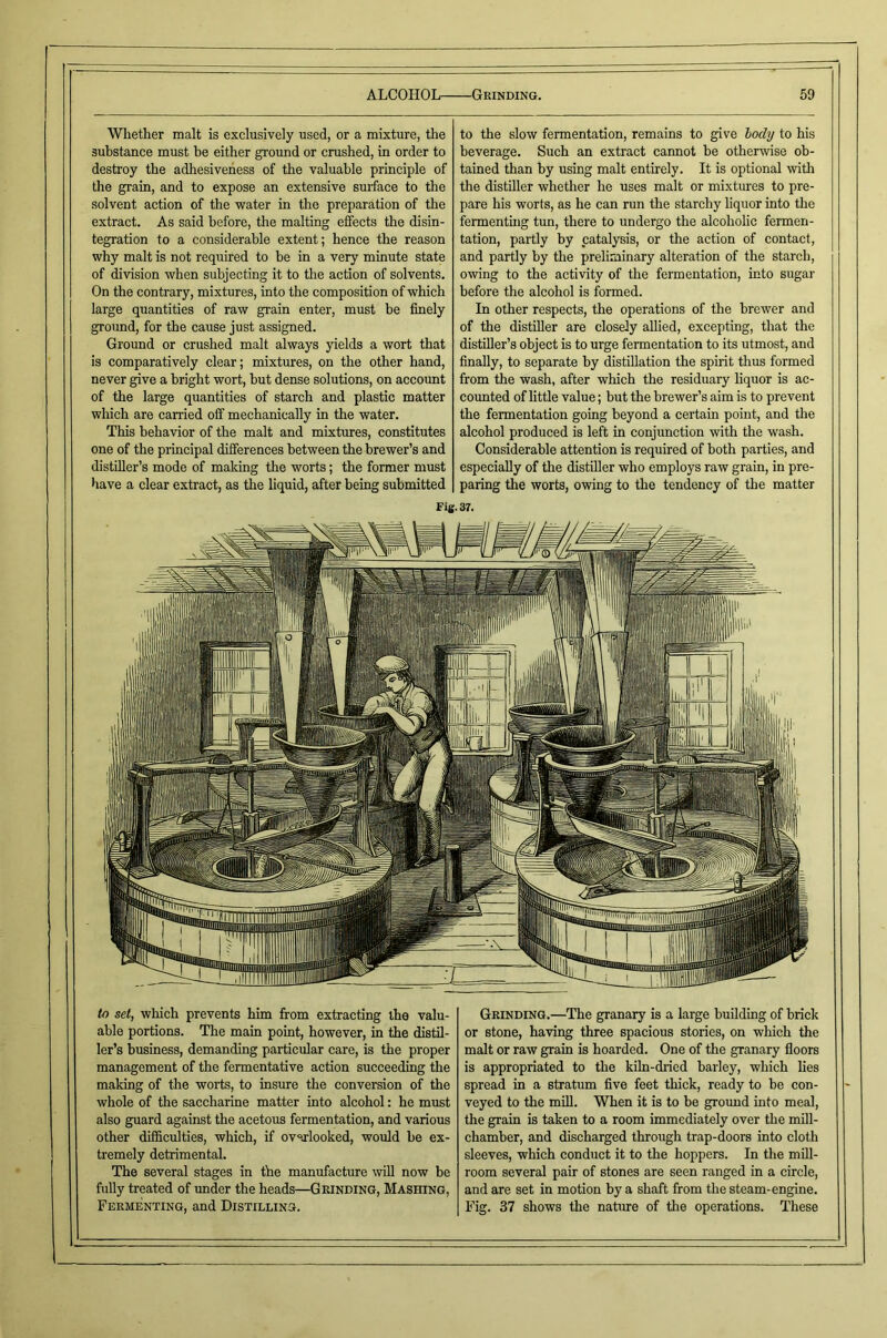 to set, which prevents him from extracting the valu- able portions. The main point, however, in the distil- ler’s business, demanding partieular care, is the proper management of the fermentative action succeeding the making of the worts, to insure the conversion of the whole of the saccharine matter into alcohol: he must also guard against the acetous fermentation, and various other difBculties, which, if ov'U'looked, would be ex- tremely detrimental. The several stages in the manufacture ^vill now be fully treated of under the heads—Grinding, Mashing, Fermenting, and Distilling. Grinding.—The granary is a large building of briek or stone, having three spacious stories, on which the malt or raw grain is hoarded. One of the granary floors is appropriated to the kiln-dried barley, which lies spread in a stratum five feet thick, ready to be con- veyed to the mill. When it is to be ground into meal, the grain is taken to a room immediately over the mill- chamber, and discharged through trap-doors into cloth sleeves, whieh conduct it to the hoppers. In the mill- room several pair of stones are seen ranged in a circle, and are set in motion by a shaft from the steam-engine. Fig. 37 shows the nature of the operations. These Wliether malt is exclusively used, or a mixture, the substance must be either ground or crushed, in order to destroy the adhesiveness of the valuable principle of the grain, and to expose an extensive surface to the solvent action of the water in the preparation of the extract. As said before, the malting effects the disin- tegration to a considerable extent; hence the reason why malt is not required to be in a very minute state of division when subjecting it to the action of solvents. On the contrary, mixtures, into the composition of which large quantities of raw grain enter, must be finely groimd, for the cause just assigned. Ground or crushed malt always yields a wort that is comparatively clear; mixtures, on the other hand, never give a bright wort, but dense solutions, on account of the large quantities of starch and plastic matter which are carried off mechanically in the water. This behavior of the malt and mixtures, constitutes one of the principal differences between the brewer’s and distOler’s mode of making the worts; the former must have a clear extract, as the liquid, after being submitted to the slow fermentation, remains to give hody to his beverage. Such an extract cannot be otherwise ob- tained than by using malt entirely. It is optional witli the distUler whether he uses malt or mixtures to pre- pare his worts, as he can run the starchy liquor into the fermenting tun, there to undergo the alcoholic fermen- tation, partly by catalysis, or the action of contact, and partly by the preliminary alteration of the starch, owing to the activity of the fermentation, into sugar before the alcohol is formed. In other respects, the operations of the brewer and of the distiller are closely allied, excepting, that the distiller’s object is to urge fermentation to its utmost, and finally, to separate by distillation the spirit thus formed from the wash, after which the residuary liquor is ac- counted of little value; but the brewer’s aim is to prevent the fermentation going beyond a certain point, and the alcohol produced is left in conjunction with the wash. Considerable attention is required of both parties, and especially of the distiller who employs raw grain, in pre- paring the worts, owing to the tendency of the matter Fig. 37.