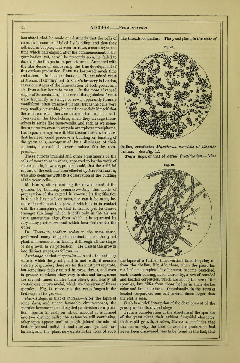 has stated that he made out distinctly that the cells of sporules became multiplied by budding, and that they adhered in couples, and even in rows, according to the time which had elapsed after the commencement of the germination, yet, as will be presently seen, he failed to discover the fungus in its perfect form. Animated with the like desire of discovering the true development of this curious production, Pereira bestowed much time and attention in its examination. He examined yeast at Messrs. Hanbury and Buxton’s brewery in London, at various stages of the fermentation of both porter and ale, from a few hours to many. In the more advanced stages of fermentation, he observed that globules of yeast were frequently in strings or rows, apparently forming moniliform, often branched plants; but as the cells were very readily separable, he could not satisfy himself that the adhesion was otherwise than mechanical, such as is observed in the blood-discs, when they arrange them- selves in series like money-rolls, and such as we some- times perceive even in organic amorphous precipitates. His experience agrees with Schlossberger, who states that he never could perceive a budduig or bursting of the yeast cells, accoijppanied by a discharge of their contents, nor could he ever produce this by com- pression. These curious brachial and other adjustments of the cells of yeast to each other, appeared to be the work of chance; it is, however, proper to add, that the artificial rupture of the cells has been effected by Mitscherlich, who also confirms Turpin’s observation of the budding of the yeast cells. M. Eobin, after describing the development of the sporules by budding, remarks:—Only this mode of propagation of the vegetal is known: its fructification in the air has not been seen, nor can it be seen, be- cause it perishes at the part at which it is in contact v/ith the atmosphere, so that it cannot yet be classed amongst the fungi which fructify only in the air, nor even among the algae, from which it is separated by very many particulars, and which bear fruit imder the water. Dr. Hassall, another zealot in the same cause, performed many diligent examinations of the yeast plant, and succeeded in tracing it through aU the stages of its growth to its perfection. He classes the growth into distinct stages, as follows:— First stage, or that of sporules.—In this, the ordinary state in which the yeast plant is met with, it consists entirely of sporules; these are for the most part separate, but sometimes feebly united in twos, threes, and even in greater numbers; they vary in size and form, some are several times smaller than others, and nearly all contain one or two nuclei, which are the germs of future sporules. Fig. 41 represents the yeast fungus in the fii’st stage of its growth. Second stage, or that of thallus.—After the lapse of some days, and under favorable circumstances, the iporules become much elongated; a division or a parti- tion appears in each, on which account it is formed into two distinct cells; the extension still continuing, other septa appear, until at length, jointed threads—at first simple and undivided, and afterwards jointed—are formed, and the plant now exists in the form of root- like threads, or thallus. The yeast plant, in the state of Fig. 41, thallus, constitutes Mycoderma cerevisim of Desma- GIERES. See Fig. 42. Third stage, or that of aerial fructification.—After Fig. 42. the lapse of a further time, vertieal threads spring up from the thallus. Fig. 43; these, when the plant has reached its complete development, become branched, each branch bearing, at its extremity, a row of rounded and beaded corpuscles, which are about the size of the sporules, but differ from those bodies in their darker color and firmer texture. Occasionally, in the rows of beaded corpuscles, one cell several times larger than the rest is seen. Such is a brief description of the development of the yeast plant in its several stages. From a consideration of the structure of the sporules of the yeast plant, their evident fungoidal character their rapid growth, et cetera, Hassall concludes that the reason why the true or aerial reproduction had never been discovered, was to be found in the fact, that