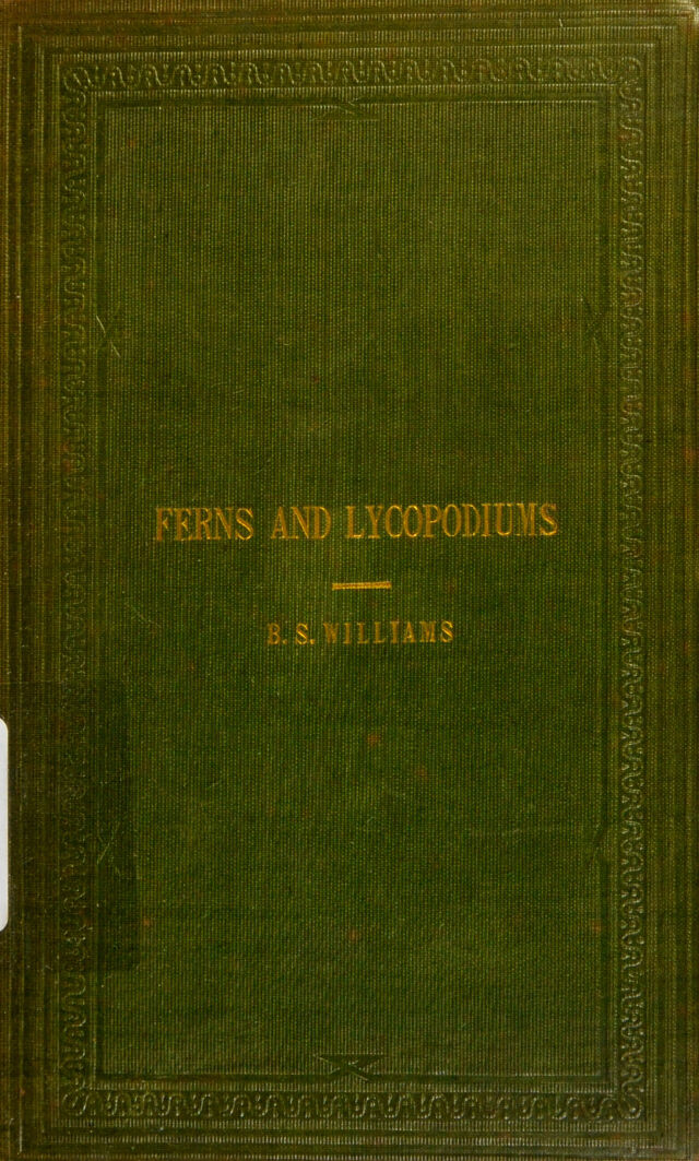 No text description is available for this image