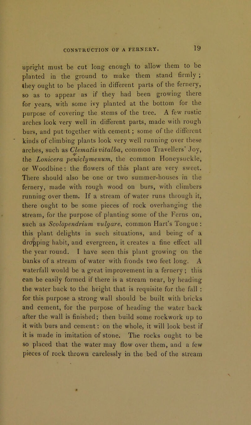upright must be cut long enough to allow them to be planted in the ground to make them stand firmly ; they ought to be placed in different parts of the fernery, so as to appear as if they had been growing there for years, with some ivy planted at the bottom for the purpose of covering the stems of the tree. A few rustic arches look very well in different parts, made with rough burs, and put together with cement; some of the different kinds of climbing plants look very well running over these arches, such as Clematis vitalba, common Travellers’ Joy, the Lonicera •peinXclymenum, the common Honeysuckle, or Woodbine: the flowers of this plant are very sweet. There should also be one or two summer-houses in the fernery, made with rough wood on burs, with climbers running over them. If a stream of water runs through it, there ought to be some pieces of rock overhanging the stream, for the purpose of planting some of the Ferns on, such as Scolopendrium vulgare, common Hart’s Tongue; this plant delights in such situations, and being of a dropping habit, and evergreen, it creates a fine effect all the year round. I have seen this plant growing on the banks of a stream of water with fronds two feet long. A waterfall would be a great improvement in a fernery; this can be easily formed if there is a stream near, by heading the water back to the height that is requisite for the fall : for this purpose a strong wall should be built with bricks and cement, for the purpose of heading the water back after the wall is finished; then build some rockwork up to it with burs and cement: on the whole, it will look best if it is made in imitation of stone. The rocks ought to be so placed that the water may flow over them, and a few pieces of rock thrown carelessly in the bed of the stream