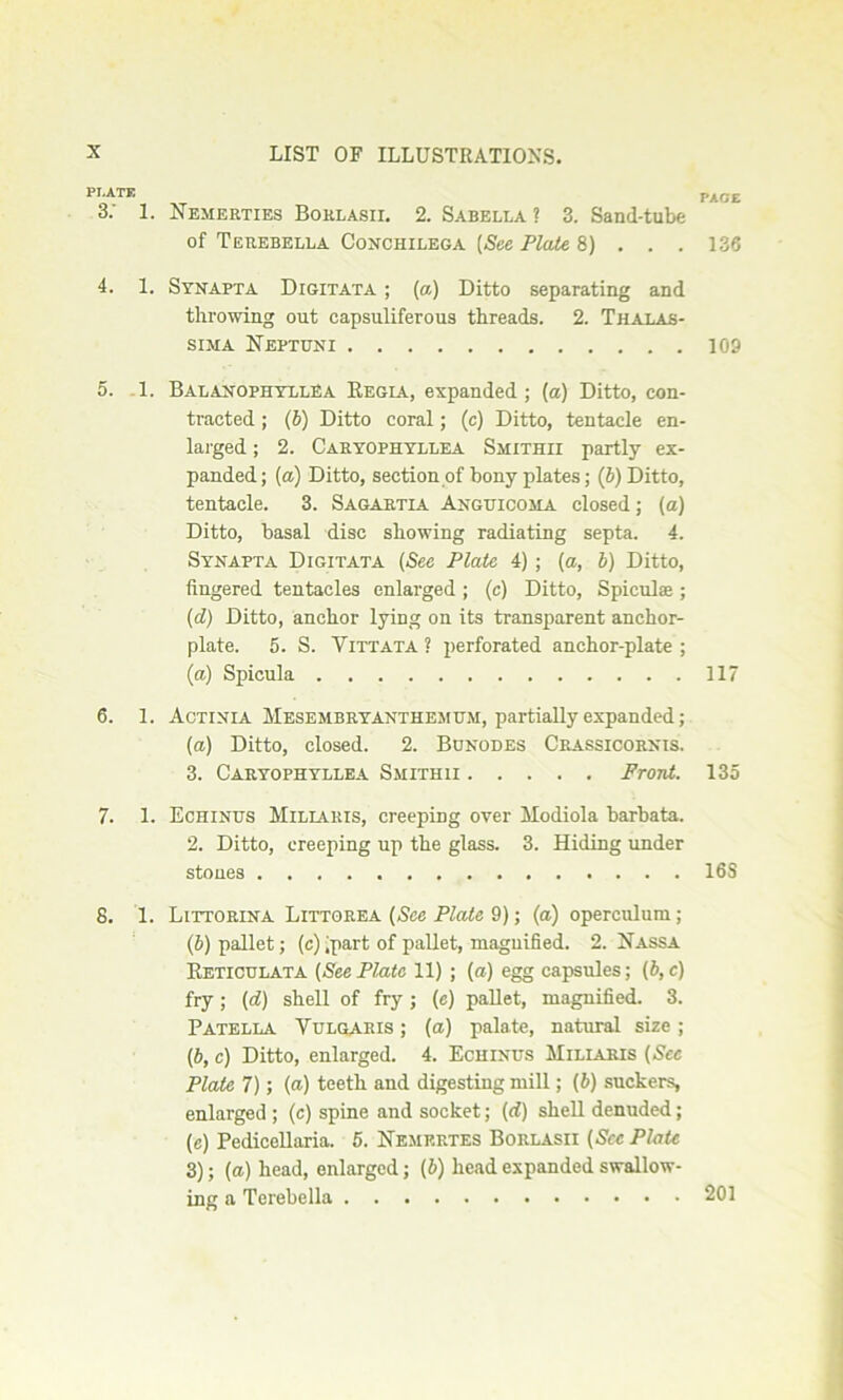 PLATE 3: 1. Nemerties Borlasii. 2. Sabelt.a ? 3. Sand-tube of Terebella Conchilega [See Plate 8) . . . 4. 1. Synapta Digitata ; [a) Ditto separating and throwing out capsuliferous threads. 2. Thalas- sima Neptuni 5. 1. BalanophyllEa Regia, expanded ; (a) Ditto, con- tracted ; (b) Ditto coral; (c) Ditto, tentacle en- larged ; 2. Caryophyllea Smithii partly ex- panded; (a) Ditto, section of bony plates; (b) Ditto, tentacle. 3. Sagartia Anguicoma closed; (a) Ditto, basal disc showing radiating septa. 4. Synapta Digitata (Sec Plate 4); (a, b) Ditto, fingered tentacles enlarged ; (c) Ditto, Spiculae; (d) Ditto, anchor lying on its transparent anchor- plate. 5. S. Vittata ? perforated anchor-plate ; (a) Spicula 6. 1. Actinia Mesembryanthemum, partially expanded; (a) Ditto, closed. 2. Bunodes Crassicornis. 3. Caryophyllea Smithii Front. 7. 1. Echinus Miliaris, creeping over Modiola barbata. 2. Ditto, creeping up the glass. 3. Hiding under stones 8. 1. Littorina Littorea [See Plate 9); (a) operculum ; (b) pallet; (c) (part of pallet, magnified. 2. Nassa Reticulata (See Plate 11) ; (a) egg capsules; (b, c) fry; (d) shell of fry; (c) pallet, magnified. 3. Patella Vulgaris ; (a) palate, natural size ; (b, c) Ditto, enlarged. 4. Echinus Miliaris (Sec Plate 7); (a) teeth and digesting mill; [b) suckers, enlarged ; (c) spine and socket; (d) shell denuded; (c) Pedicellaria. 5. Nemkrtes Borlasii [See Plate 3); (a) head, enlarged; (6) head expanded swallow- ing a Terebella PACE 136 109 117 135 16S 201