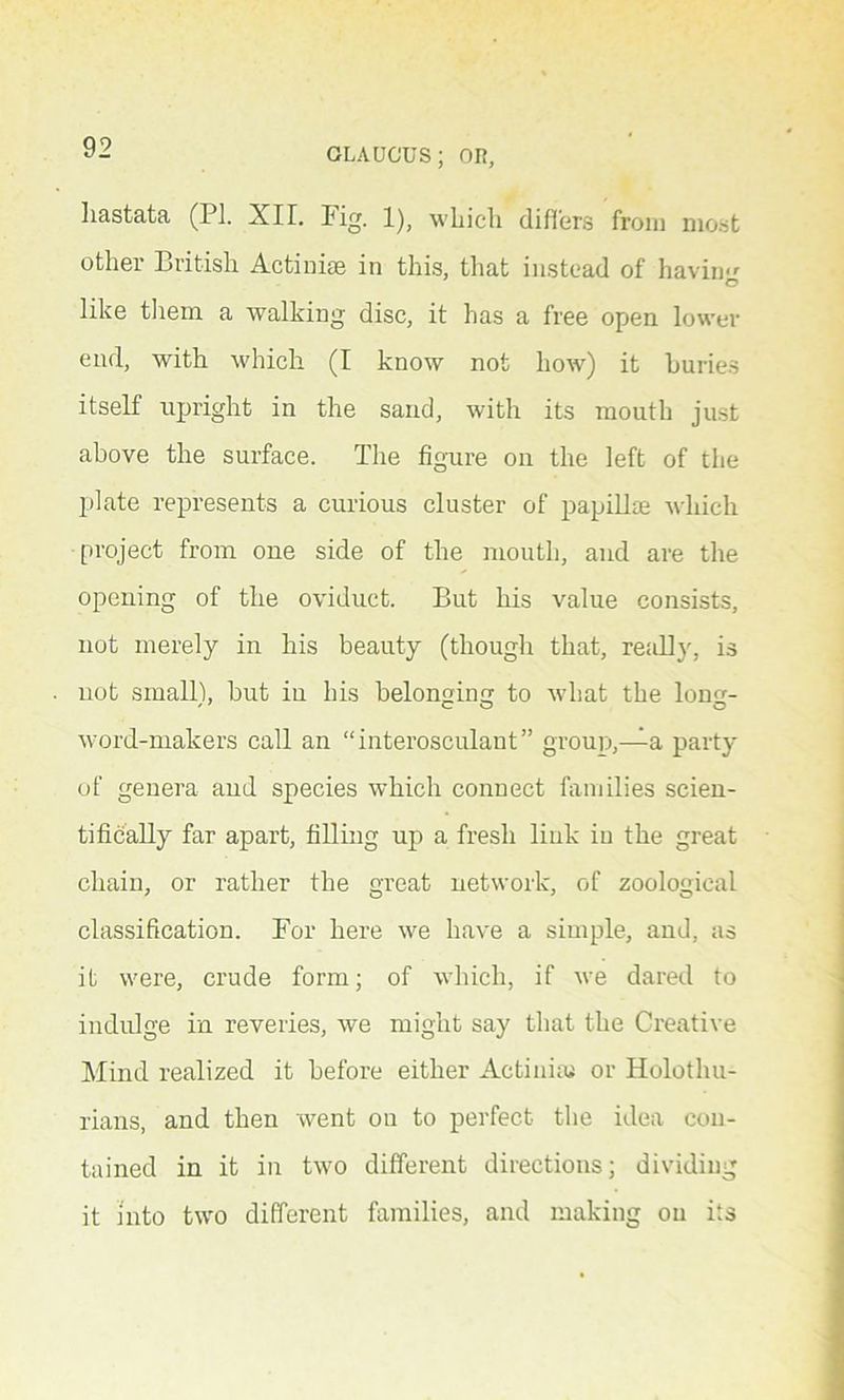 hastata (PI. XII. Pig. 1), which differs from most other British Actiniae in this, that instead of havin*' O like them a walking disc, it has a free open lower end, with which (I know not how) it buries itself upright in the sand, with its mouth just above the surface. The figure on the left of the plate represents a curious cluster of papillae which project from one side of the mouth, and are the opening of the oviduct. But his value consists, not merely in his beauty (though that, really, is not small), but in his belonging to what the long- word-makers call an “interoscnlant” group,—a party of genera and species which connect families scien- tifically far apart, filling up a fresh link in the great chain, or rather the great network, of zoological classification. For here we have a simple, and, as it were, crude form; of which, if we dared to indulge in reveries, we might say that the Creative Mind realized it before either Actinias or Holothu- rians, and then went on to perfect the idea con- tained in it in two different directions; dividing it into two different families, and making ou its