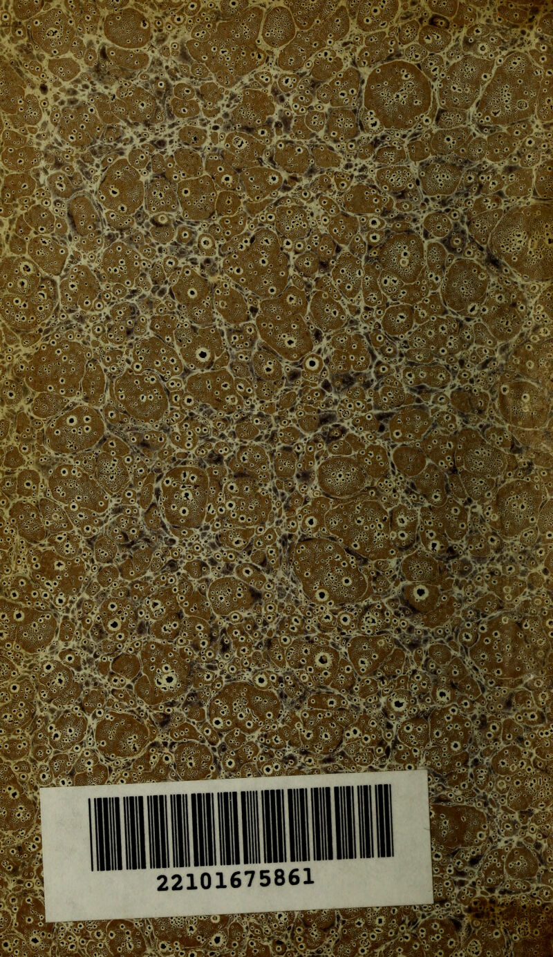 22101675861