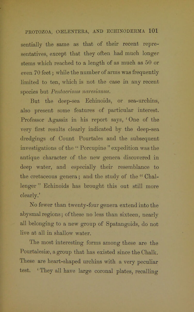 sentially the same as that of their recent repre- sentatives, except that they often had much longer stems which reached to a length of as much as 50 or even 70 feet; while the number of arms was frequently limited to ten, which is not the case in any recent species but Pentacrinus ncvresictnus. But the deep-sea Echinoids, or sea-urchins, also present some features of particular interest. Professor Agassiz in his report says, ‘ One of the very first results clearly indicated by the deep-sea dredgings of Count Pourtales and the subsequent investigations of the “ Porcupine ” expedition was the antique character of the new genera discovered in deep water, and especially their resemblance to the cretaceous genera; and the study of the “ Chal- lenger ” Echinoids has brought this out still more clearly.’ No fewer than twenty-four genera extend into the abysmal regions; of these no less than sixteen, nearly all belonging to a new group of Spatangoids, do not live at all in shallow water. The most interesting forms among these are the Pourtalesias, a group that has existed since the Chalk. These are heart-shaped urchins with a very peculiar test. £ They all have large coronal plates, recalling