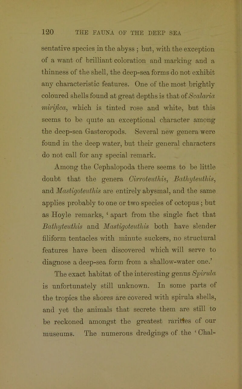 sentative species in the abyss ; but, with the exception of a want of brilliant coloration and marking and a thinness of the shell, the deep-sea forms do not exhibit any characteristic features. One of the most brightly coloured shells found at great depths is that of Scalaria. mirifica, which is tinted rose and white, but this seems to be quite an exceptional character among the deep-sea Gasteropods. Several new genera were found in the deep water, but their general characters do not call for any special remark. Among the Cephalopoda there seems to be little doubt that the genera Cirroteuthis, Bathyteuthis, and Mastigoteuthis are entirely abysmal, and the same applies probably to one or two species of octopus ; but as Hoyle remarks, ‘ apart from the single fact that Bathyteuthis and Mastigoteuthis both have slender filiform tentacles with minute suckers, no structural features have been discovered which will serve to diagnose a deep-sea form from a shallow-water one.’ The exact habitat of the interesting genus Spirula, is unfortunately still unknown. In some parts of the tropics the shores are covered with spirula shells, and yet the animals that secrete them are still to be reckoned amongst the greatest rarities of our museums. The numerous dredgings of the ‘ Chal-