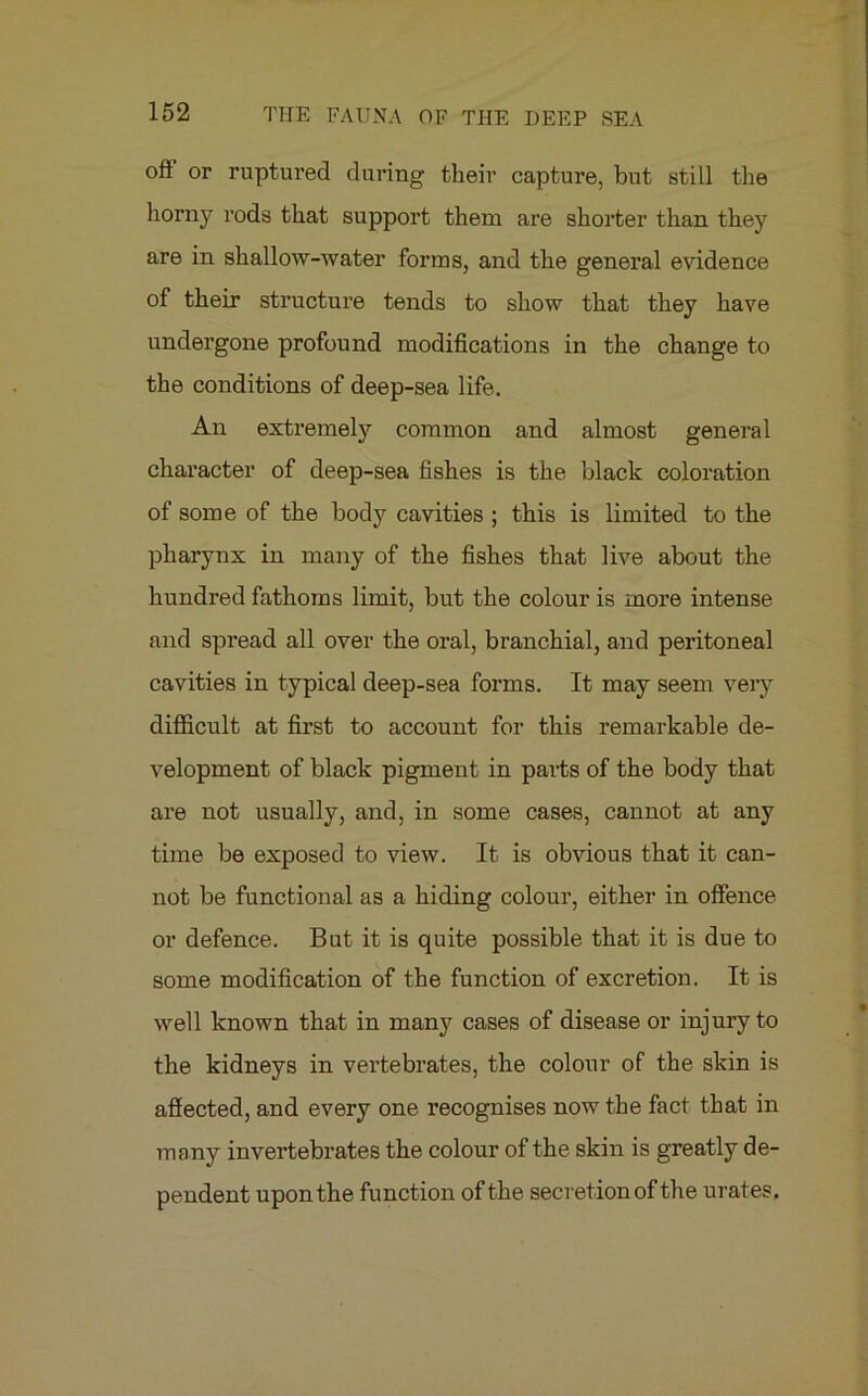 off or ruptured during their capture, but still the horny rods that support them are shorter than they are in shallow-water forms, and the general evidence of their structure tends to show that they have undergone profound modifications in the change to the conditions of deep-sea life. An extremely common and almost general character of deep-sea fishes is the black coloration of some of the body cavities ; this is limited to the pharynx in many of the fishes that live about the hundred fathoms limit, but the colour is more intense and spread all over the oral, branchial, and peritoneal cavities in typical deep-sea forms. It may seem very difficult at first to account for this remarkable de- velopment of black pigment in parts of the body that are not usually, and, in some cases, cannot at any time be exposed to view. It is obvious that it can- not be functional as a hiding colour, either in offence or defence. But it is quite possible that it is due to some modification of the function of excretion. It is well known that in many cases of disease or injury to the kidneys in vertebrates, the colour of the skin is affected, and every one recognises now the fact that in many invertebrates the colour of the skin is greatly de- pendent upon the function of the secretion of the urates.