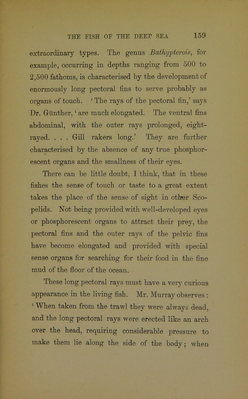 extraordinary types. The genus Bathypterois, for example, occurring in depths ranging from 500 to 2,500 fathoms, is characterised by the development of enormously long pectoral fins to serve probably as organs of touch. ‘ The rays of the pectoral fin,’ says Dr. Gunther,£ are much elongated. The ventral fins abdominal, with the outer rays prolonged, eight- rayed. . . . Gill rakers long.’ They are further characterised by the absence of any true phosphor- escent organs and the smallness of their eyes. There can be little doubt, I think, that in these fishes the sense of touch or taste to a great extent takes the place of the sense of sight in other Sco- pelids. Not being provided with well-developed eyes or phosphorescent organs to attract their prey, the pectoral fins and the outer rays of the pelvic fins have become elongated and provided with special sense organs for searching for their food in the fine mud of the floor of the ocean. These long pectoral rays must have a very curious appearance in the living fish. Mr. Murray observes : £ When taken from the trawl they were always dead, and the long pectoral rays were erected like an arch over the head, requiring considerable pressure to make them lie along the side of the body; when