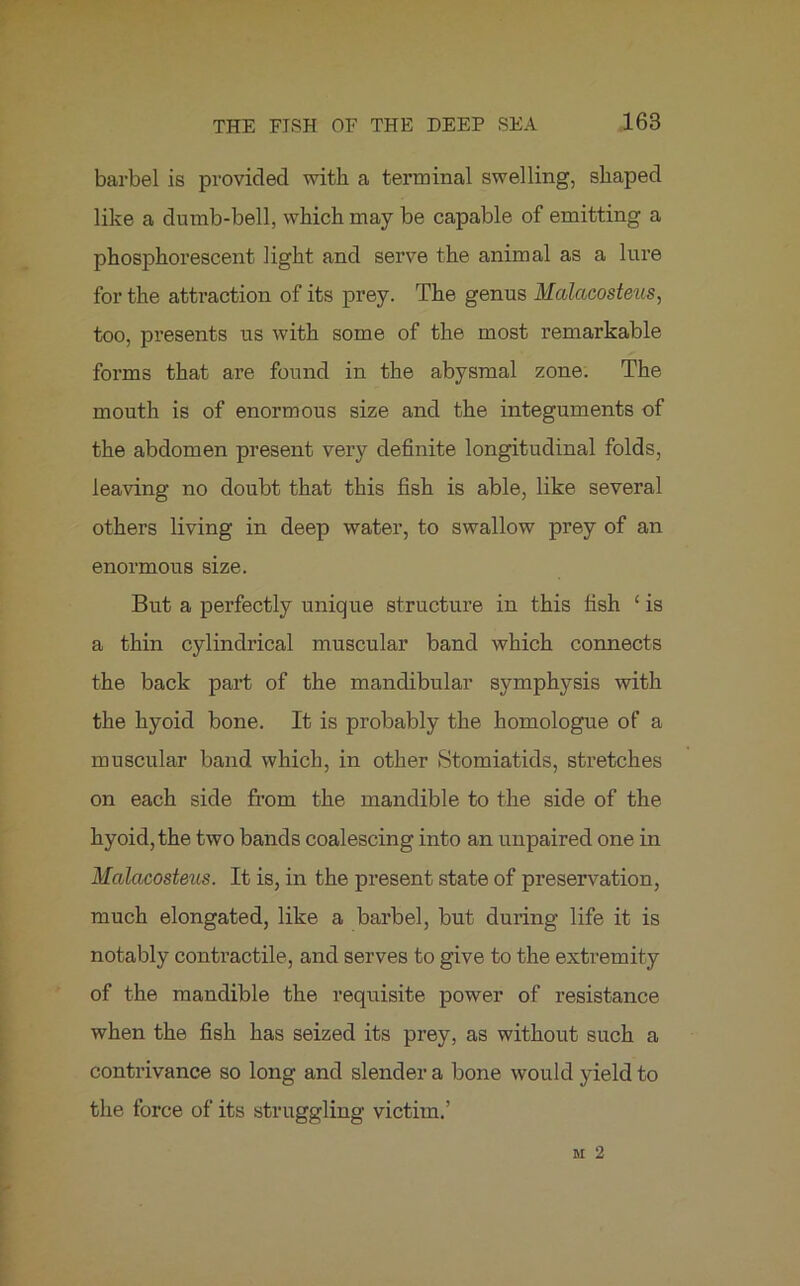 barbel is provided with a terminal swelling, shaped like a dumb-bell, which may be capable of emitting a phosphorescent light and serve the animal as a lure for the attraction of its prey. The genus Malacosteus, too, presents us with some of the most remarkable forms that are found in the abysmal zone. The mouth is of enormous size and the integuments of the abdomen present very definite longitudinal folds, leaving no doubt that this fish is able, like several others living in deep water, to swallow prey of an enormous size. But a perfectly unique structure in this fish ‘ is a thin cylindrical muscular band which connects the back part of the mandibular symphysis with the hyoid bone. It is probably the homologue of a muscular band which, in other Stomiatids, stretches on each side from the mandible to the side of the hyoid, the two bands coalescing into an unpaired one in Malacosteus. It is, in the present state of preservation, much elongated, like a barbel, but during life it is notably contractile, and serves to give to the extremity of the mandible the requisite power of resistance when the fish has seized its prey, as without such a contrivance so long and slender a bone would yield to the force of its struggling victim.’