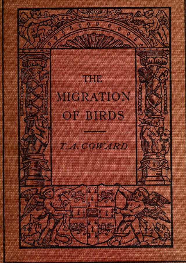 digitised image 1