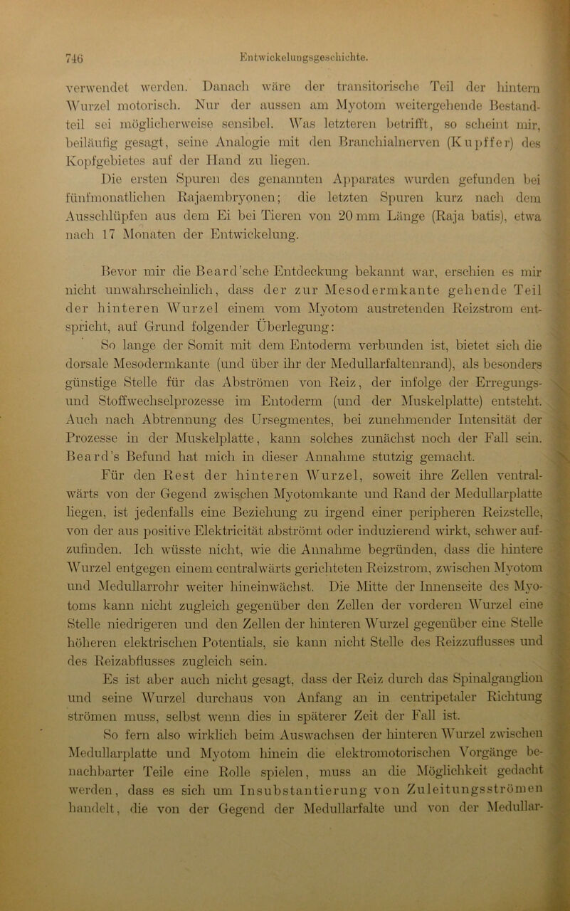 verwendet werden. Danacli wäre der transitorisclie Teil der hintern A\'nrzel motorisch. Nur der aussen am Myotom weitergehende Bestand- teil sei möglicherweise sensibel. Was letzteren Ijetriftt, so scheint mir, heiläuhg gesagt, seine Analogie mit den Branchialnerven (Kupffer) des Kopfgebietes auf der Hand zu liegen. Die ersten Spuren des genannten Apparates wurden gefunden bei fünfmonatlichen Rajaembryonen; die letzten Spuren kurz nach dem Ausschlüpfen aus dem Ei bei Tieren von 20 mm Länge (Raja batis), etwa nach 17 Monaten der Entwickelung. Bevor mir die Board’sche Entdeckung bekannt war, erschien es mir nicht unwahrscheinlich, dass der zur Mesodermkante gehende Teil der hinteren A¥urzel einem vom Myotom austretenden Reizstrom ent- spricht, auf Grund folgender Überlegung: So lange der Somit mit dem Entoderm verbunden ist, bietet sich die dorsale Mesodermkante (und über ihr der Medullarfaltenrand), als besonders günstige Stelle für das Abströmen von Reiz, der infolge der Erregungs- und Stoffwechselprozesse im Entoderm (und der jMuskelplatte) entsteht. Auch nach Abtrennung des ürsegmentes, bei zunehmender Intensität der Prozesse in der Muskelplatte, kann solches zunächst noch der Fall sein. Board’s Befund hat mich in dieser Annahme stutzig gemacht. Für den Rest der hinteren Wurzel, soweit ihre Zellen ventral- wärts von der Gegend zwischen Myotomkante und Rand der jMedullarplatte liegen, ist jedenfalls eine Beziehung zu irgend einer peripheren Reizstoffe, von der aus positive Elektricität abströmt oder induzierend vnrkt, schwer auf- zufinden. Ich wüsste nicht, wie die Annahme begründen, dass die hintere Wurzel entgegen einem centralwärts gerichteten Reizstrom, zvdschen jMyotom und Medullarrohr weiter hineinwächst. Die Mitte der Innenseite des Myo- toms kann nicht zugleich gegenüber den Zellen der vorderen Wurzel eine Stelle niedrigeren und den Zellen der hinteren Wurzel gegenüber eine Stelle höheren elektrischen Potentials, sie kann nicht Stelle des Reizzuflusses und des Reizabfiusses zugleich sein. Es ist aber auch nicht gesagt, dass der Reiz durch das Spinalganglion und seine Wurzel durchaus von Anfang an in centripetaler Richtung strömen muss, selbst wenn dies in späterer Zeit der Fall ist. So fern also wirklich beim Auswachsen der hinteren Wurzel zwischen Medullarplatte und Myotom hinein die elektromotorischen Vorgänge be- nachbarter Teile eine Rolle spielen, muss an die Möglichkeit gedacht werden, dass es sich um Insubstantierung von Zuleitungsströmen handelt, die von der Gegend der Medullarfalte und von der Medullär-