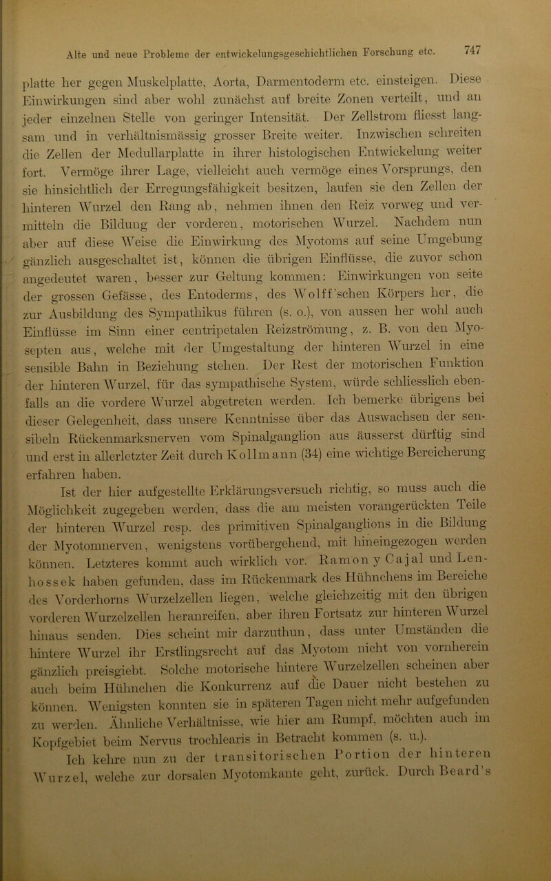 platte her gegen Muskelplatte, Aorta, Darmentoclerm etc. einsteigen. Diese Einwirkungen sind aber wohl zunächst auf breite Zonen verteilt, und an jeder einzelnen Stelle von geringer Intensität. Der Zellstrom fliesst lang- sam und in verhältnismässig grosser Breite weiter. Inzwischen schreiten die Zellen der ]\Iedullarplatte in ihrer histologischen Entwickelung weiter fort. Vermöge ihrer Lage, vielleicht auch vermöge eines Vorsprungs, den sie hinsichtlich der Erregungsfähigkeit besitzen, laufen sie den Zellen der hinteren Wurzel den Rang ab, nehmen ihnen den Reiz vorweg und ver- mitteln die Bildung der vorderen, motorischen Wurzel. Nachdem nun aber auf diese AVeise die Einwirkung des Myotoms auf seine Umgebung gänzlich ausgeschaltet ist, können die übrigen Einflüsse, die zuvor schon angedeutet w^aren, besser zur Geltung kommen: Einwirkungen von seite der grossen Gefässe, des Entoderms, des Wolff’schen Körpers her, die zur Ausbildung des Sympathikus führen (s. o.), von aussen her wohl auch Einflüsse im Sinn einer centripetalen Reizströmung, z. B. von den Myo- septen aus, w^elche mit der Umgestaltung der hinteren AVurzel in eine sensible Bahn in Beziehung stehen. Der Rest der motorischen Funktion der hinteren AAAirzel, für das sympathische System, würde schliesslich eben- falls an die vordere AVurzel abgetreten werden. Ich bemerke übrigens bei dieser Gelegenheit, dass unsere Kenntnisse über das Auswachsen der sen- sibeln Rückenmarksnerven vom Spinalganglion aus äusserst dürftig sind und erst in allerletzter Zeit durch Ko Ilm ann (34) eine wichtige Bereicherung erfahren haben. Ist der hier aufgestellte Erklärungsversuch richtig, so muss auch die jMöglichkeit zugegeben werden, dass die am meisten vorangerückten Teile der hinteren AATirzel resp. des primitiven Spinalganglions in die Bildung der Myotomnerven, wenigstens vorübergehend, mit hineingezogen werden können. Letzteres kommt auch wirklich vor. RamonyCajal und Len- hossek haben gefunden, dass im Rückenmark des Hühnchens im Bei eiche des Vorderhorns Wurzelzellen liegen, welche gleichzeitig mit den übiigen vorderen AATirzelzellen heranreifen, aber ihren Fortsatz zur hinteren Wurzel hinaus senden. Dies scheint mir darzuthun, dass unter Umständen die hintere Wurzel ihr Erstlingsrecht auf das Myotom nicht von vornherein gänzlich preisgiebt. Solche motorische hintere AVurzelzellen scheinen aber auch beim Llühnchen die Konkurrenz auf d'ie Dauer nicht bestehen zu können. Wenigsten konnten sie in späteren Tagen nicht mehr aufgefunden zu werden. Ähnliche Verhältnisse, wie hier am Rumpf, möchten auch im Kopfgebiet beim Nervus trochlearis in Betracht kommen (s. u.). Ich kehre nun zu der transitorischen Portion dei hinteien Wurzel, welche zur dorsalen Myotomkante geht, zurück. Durch Beard’s