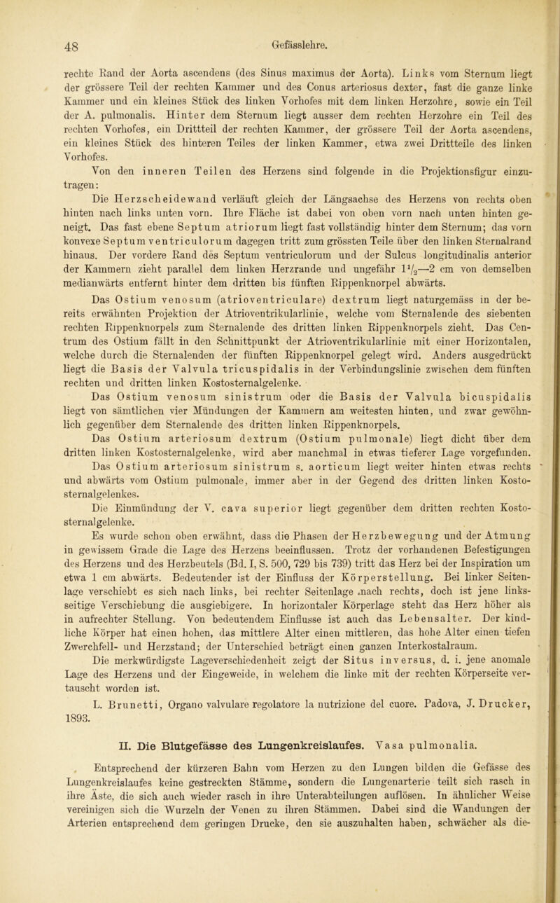 rechte Rand der Aorta ascendens (des Sinus maximus der Aorta). Links vom Sternum liegt der grössere Teil der rechten Kammer und des Conus arteriosus dexter, fast die ganze linke Kammer und ein kleines Stück des linken Yorhofes mit dem linken Herzohre, sowie ein Teil der A. pulmonalis. Hinter dem Sternum liegt ausser dem rechten Herzohre ein Teil des rechten Yorhofes, ein Drittteil der rechten Kammer, der grössere Teil der Aorta ascendens, ein kleines Stück des hinteren Teiles der linken Kammer, etwa zwei Drittteile des linken Vorhofes. Von den inneren Teilen des Herzens sind folgende in die Projektionsfigur einzu- tragen : Die Herzscheidewand verläuft gleich der Längsachse des Herzens von rechts oben hinten nach links unten vorn. Ihre Fläche ist dabei von oben vorn nach unten hinten ge- neigt. Das fast ebene Septum atriorum liegt fast vollständig hinter dem Sternum; das vorn konvexe Septum ventriculorum dagegen tritt zum grössten Teile über den linken Sternalrand hinaus. Der vordere Rand des Septum ventriculorum und der Sulcus longitudinalis anterior der Kammern zieht parallel dem linken Herzrande und ungefähr P/2—2 cm von demselben medianwärts entfernt hinter dem dritten bis fünften Rippenknorpel abwärts. Das Ostium venosum (atrioventriculare) dextrum liegt naturgemäss in der be- reits erwähnten Projektion der Atrioventrikularlinie, welche vom Sternalende des siebenten rechten Rippenknorpels zum Sternalende des dritten linken Rippenknorpels zieht. Das Cen- trum des Ostium fällt in den Schnittpunkt der Atrioventrikularlinie mit einer Horizontalen, welche durch die Sternalenden der fünften Rippenknorpel gelegt wird. Anders ausgedrückt liegt die Basis der Yalvula tricuspidalis in der Verbindungslinie zwischen dem fünften rechten und dritten linken Kostosternalgelenke. Das Ostium venosum sinistrum oder die Basis der Valvula bicuspidalis liegt von sämtlichen vier Mündungen der Kammern am weitesten hinten, und zwar gewöhn- lich gegenüber dem Sternalende des dritten linken Rippenknorpels. Das Ostium arteriosum dextrum (Ostium pulmonale) liegt dicht über dem dritten linken Kostosternalgelenke, wird aber manchmal in etwas tieferer Lage vorgefunden. Das Ostium arteriosum sinistrum s. aorticum liegt weiter hinten etwas rechts und abwärts vom Ostium pulmonale, immer aber in der Gegend des dritten linken Kosto- sternalgelenkes. Die Einmündung der V. cava superior liegt gegenüber dem dritten rechten Kosto- sternal gelenke. Es wurde schon oben erwähnt, dass die Phasen der Herzbewegung und der Atmung in gewissem Grade die Lage des Herzens beeinflussen. Trotz der vorhandenen Befestigungen des Herzens und des Herzbeutels (Bd. I, S. 500, 729 bis 739) tritt das Herz bei der Inspiration um etwa 1 cm abwärts. Bedeutender ist der Einfluss der Körperstellung. Bei linker Seiten- lage verschiebt es sich nach links, bei rechter Seitenlage .nach rechts, doch ist jene links- seitige Verschiebung die ausgiebigere. In horizontaler Körperlage steht das Herz höher als in aufrechter Stellung. Von bedeutendem Einflüsse ist auch das Lebensalter. Der kind- liche Körper hat einen hohen, das mittlere Alter einen mittleren, das hohe Alter einen tiefen Zwerchfell- und Herzstand; der Unterschied beträgt einen ganzen Interkostalraum. Die merkwürdigste Lageverschiedenheit zeigt der Situs in versus, d. i. jene anomale Lage des Herzens und der Eingeweide, in welchem die linke mit der rechten Körperseite ver- tauscht worden ist. L. Brunetti, Organo valvulare regolatore la nutrizione del cuore. Padova, J. Drucker, 1893. H. Die Blutgefässe des Lungenkreislaufes. Vasa pulmonalia. Entsprechend der kürzeren Bahn vom Herzen zu den Lungen bilden die Gefässe des Lungenkreislaufes keine gestreckten Stämme, sondern die Lungenarterie teilt sich rasch in ihre Äste, die sich auch wieder rasch in ihre Unterabteilungen auflösen. In ähnlicher Weise vereinigen sich die Wurzeln der Venen zu ihren Stämmen. Dabei sind die Wandungen der Arterien entsprechend dem geringen Drucke, den sie auszuhalten haben, schwächer als die-