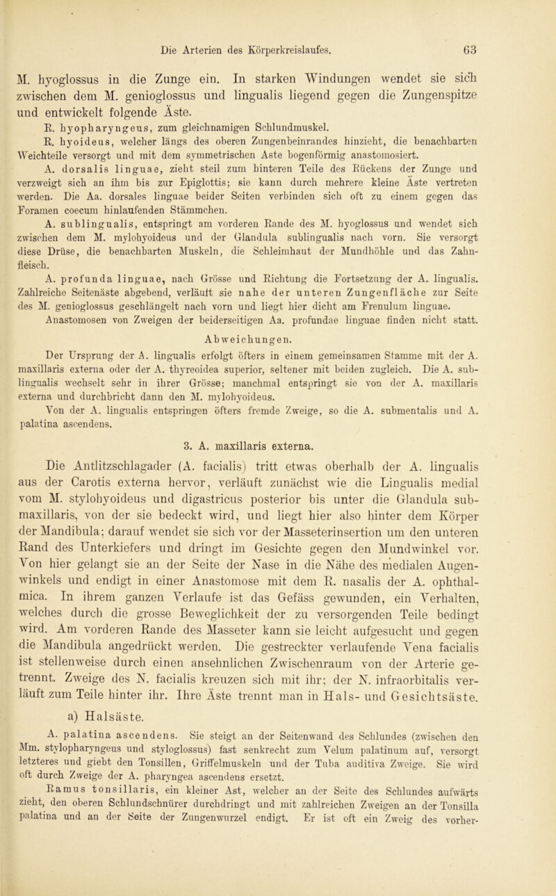 M. hyoglossus in die Zunge ein. In starken Windungen wendet sie sich zwischen dem M. genioglossus und lingualis liegend gegen die Zungenspitze und entwickelt folgende Äste. K. kyopkaryngeus, zum gleichnamigen Schlundmuskel. R. kyoideus, welcher längs des oberen Zungenbeinrandes hinzieht, die benachbarten Weichteile versorgt und mit dem symmetrischen Aste bogenförmig anastomosiert. A. dorsalis linguae, zieht steil zum hinteren Teile des Rückens der Zunge und verzweigt sich an ihm bis zur Epiglottis; sie kann durch mehrere kleine Aste vertreten werden. Die Aa. dorsales linguae beider Seiten verbinden sich oft zu einem gegen das Foramen coecum kinlanfenden Stämmchen. A. sublingualis, entspringt am vorderen Rande des M. kyoglossus und wendet sich zwischen dem M. mylohyoideus und der Glandula sublingualis nach vorn. Sie versorgt diese Drüse, die benachbarten Muskeln, die Schleimhaut der Mundhöhle und das Zahn- fleisch. A. profunda linguae, nach Grösse und Richtung die Fortsetzung der A. lingualis. Zahlreiche Seitenäste abgebend, verläuft sie nahe der unteren Zungen fläche zur Seite des M. genioglossus geschlängelt nach vorn und liegt hier dicht am Frenulum linguae. Anastomosen von Zweigen der beiderseitigen Aa. profundae linguae finden nicht statt. Abweichungen. Der Ursprung der A. lingualis erfolgt öfters in einem gemeinsamen Stamme mit der A. maxillaris externa oder der A. thyreoidea superior, seltener mit beiden zugleich. Die A. sub- lingualis wechselt sehr in ihrer Grösse; manchmal entspringt sie von der A. maxillaris externa und durchbricht dann den M. mylohyoideus. Von der A. lingualis entspringen öfters fremde Zweige, so die A. submentalis und A. palatina ascendens. 3. A. maxillaris externa. Die Antlitzschlagader (A. facialis) tritt etwas oberhalb der A. lingualis aus der Carotis externa hervor, verläuft zunächst wie die Lingualis medial vom M. stylohyoideus und digastricus posterior bis unter die Glandula sub- maxillaris, von der sie bedeckt wird, und liegt hier also hinter dem Körper der Mandibula; darauf wendet sie sich vor der Masseterinsertion um den unteren Rand des Unterkiefers und dringt im Gesichte gegen den Mundwinkel vor. Von hier gelangt sie an der Seite der Käse in die Nähe des medialen Augen- winkels und endigt in einer Anastomose mit dem R. nasalis der A. ophthal- mica. In ihrem ganzen Verlaufe ist das Gefäss gewunden, ein Verhalten, welches durch die grosse Beweglichkeit der zu versorgenden Teile bedingt wird. Am vorderen Rande des Masseter kann sie leicht aufgesucht und gegen die Mandibula angedrückt werden. Die gestreckter verlaufende Vena facialis ist stellenweise durch einen ansehnlichen Zwischenraum von der Arterie ge- trennt. Zweige des N. facialis kreuzen sich mit ihr; der N. infraorbitalis ver- läuft zum Teile hinter ihr. Ihre Äste trennt man in Hals- und Gesichtsäste. a) Halsäste. A. palatina ascendens. Sie steigt an der Seitenwand des Schlundes (zwischen den Mm. stylopharyngeus und styloglossus) fast senkrecht zum Velum palatinum auf, versorgt letzteres und giebt den Tonsillen, Griffelmuskeln und der Tuba auditiva Zweige. Sie wird oft durch Zweige der A. pkaryngea ascendens ersetzt. Ramus tonsillaris, ein kleiner Ast, welcher an der Seite des Schlundes aufwärts zieht, den oberen Schlundschnürer durchdringt und mit zahlreichen Zweigen an der Tonsilla palatina und an der Seite der Zungenwnrzel endigt. Er ist oft ein Zw'eig des vorher-