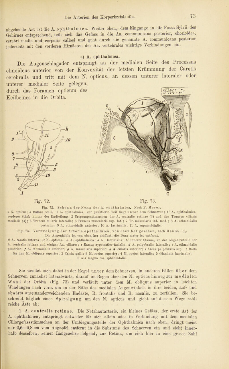 abgehende Ast ist die A. ophthalmica. Weiter oben, dem Eingänge in die Eossa Sylvii des Gehirnes entsprechend, teilt sich das Gefäss in die Aa. communicans posterior, chorioidea, cerebri media und corporis callosi und geht durch die genannte A. communicans posterior jederseits mit den vorderen Hirnästen der Aa. vertebrales wichtige Verbindungen ein. Eig. 72. 73. a) A. opktkalmica. Die Augenschlagader entspringt an der medialen Seite des Processus clinoideus anterior von der Konvexität der letzten Krümmung der Carotis cerebralis und tritt mit dem N. opticus, an dessen unterer lateraler oder unterer medialer Seite gelegen, durch das Foramen opticum des Keilbeines in die Orbita. Fig. 72. Schema der Norm der A. ophthalmica. Nach F. Meyer. n N. opticus; b Bulbus oculi. 1 A. ophthalmica, der punktierte Teil liegt unter dem Sehnerven; 1' A. ophthalmica, vorderes Stück hinter der Endteilung; 2 Ursprungsstämmchen der A. centralis retinae (3) und des Truncus ciliaris medialis (4); 5 Truncus ciliaris lateralis; 6 Truncus muscularis sup. lat.; 7 Tr. muscularis inf. med.; 8 A. ethmoidalis posterior; 9 A. ethmoidalis anterior; 10 A. lacrimalis; 11 A. supraorbitalis. Fig. 73. Verzweigung der Arteria ophthalmica, von oben her gesehen, nach Heule. 1li. Die Augenhöhle ist von oben her eröffnet, die Dura mater ist entfernt. C A. carotis interna; 0 N. opticus, a A. ophthalmica; b A. lacrimalis; b‘ innerer Stamm, an der Abgangsstelle der A. centralis retinae und einiger Aa. ciliares; c Ramus zygomatico-facialis; d A. palpebralis lateralis; e A. ethmoidalis posterior; / A. ethmoidalis anterior; g A. muscularis superior; h A. ciliaris anterior; i Arcus palpebralis sup. 1 Rollo für den M. obliquus superior; 2 Crista galli; 3 M. rectus superior; 4 M. rectus lateralis; 5 Glandula lacrimalis; 6 Ala magna oss. sphenoidalis. Sie wendet sich dabei in der Kegel unter dem Sehnerven, in anderen Fällen über dem Sehnerven zunächst lateralwärts, darauf im Bogen über den N. opticus hinweg zur medialen Wand der Orbita (Fig. 73) und verläuft unter dem M. obliquus superior in leichten Windungen nach vorn, um in der Nähe des medialen Augenwinkels in ihre beiden, auf- und abwärts ausemanderweichenden Endäste, R. frontalis und R. nasalis, zu zerfallen. Sie be- schreibt folglich einen Spiralgang um den N. opticus und giebt auf diesem Wege zahl- reiche Aste ab: 1. A. centralis retinae. Die Netzhautarterie, ein kleines Gefäss, der erste Ast der A. ophthalmica, entspringt entweder für sich allein oder in Verbindung mit dem medialen Ciliargefässstämmchen an der Umbiegungsstelle der Ophthalmica nach oben, dringt meist • nur 0,6—0,8 cm vom Augapfel entfernt in die Substanz des Sehnerven ein und zieht inner- halb desselben, seiner Längsachse folgend, zur Retina, um sich hier in eine grosse Zahl