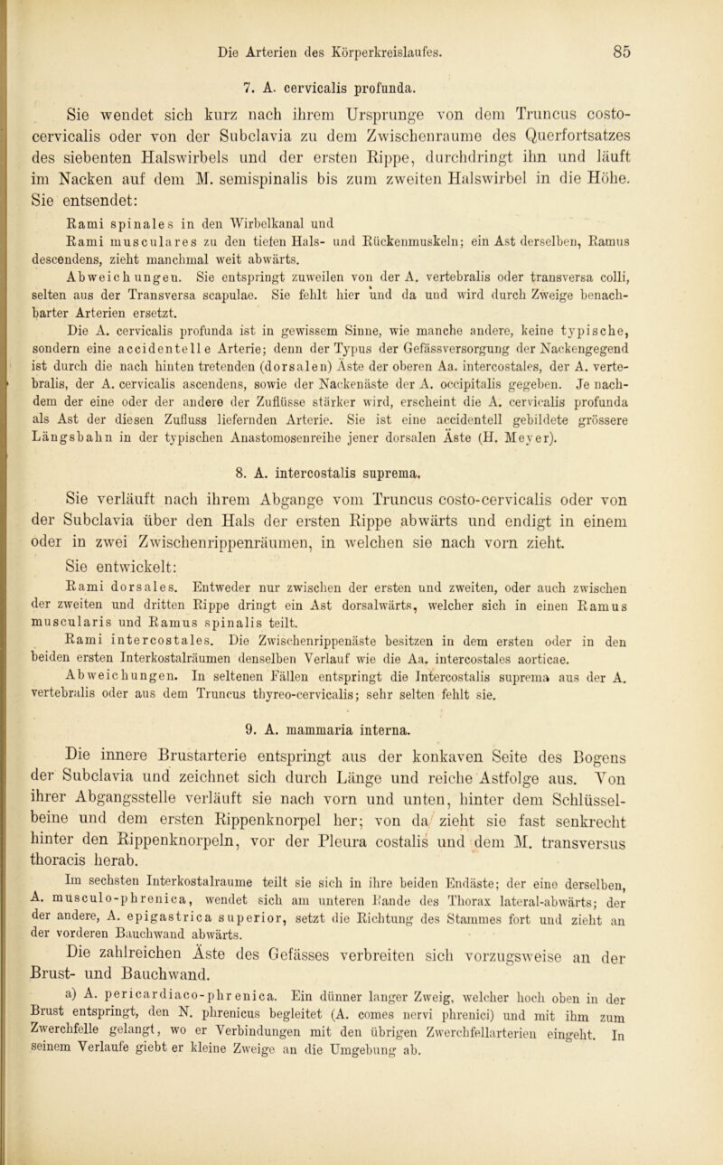 7. A. cervicalis profunda. Sie wendet sich kurz nach ihrem Ursprünge von dem Truncus costo- cervicalis oder von der Subclavia zu dem Zwischenräume des Querfortsatzes des siebenten Halswirbels und der ersten Rippe, durchdringt ihn und läuft im Nacken auf dem M. semispinalis bis zum zweiten Halswirbel in die Höhe. Sie entsendet: Rami spinales in den Wirbelkanal und Rami musculares zu den tiefen Hals- und Rückenmuskeln; ein Ast derselben, Ramus descendens, zieht manchmal weit abwärts. Abweichungen. Sie entspringt zuweilen von der A. vertebralis oder transversa colli, selten aus der Transversa scapulae. Sie fehlt hier und da und wird durch Zweige benach- barter Arterien ersetzt. Die A. cervicalis profunda ist in gewissem Sinne, wie manche andere, keine typische, sondern eine accidentelle Arterie; denn der Typus der Gefässversorgung der Nackengegend ist durch die nach hinten tretenden (dorsalen) Aste der oberen Aa. intercostales, der A. verte- bralis, der A. cervicalis ascendens, sowie der Nackenäste der A. occipitalis gegeben. Je nach- dem der eine oder der andere der Zuflüsse stärker wird, erscheint die A. cervicalis profunda als Ast der diesen Zufluss liefernden Arterie. Sie ist eine accidentell gebildete grössere Längsbahn in der typischen Anastomosenreihe jener dorsalen Aste (H. Meyer). 8. A. intercostalis suprema. Sie verläuft nach ihrem Abgänge vom Truncus costo-cervicalis oder von der Subclavia über den Hals der ersten Rippe abwärts und endigt in einem oder in zwei Zwischenrippenräumen, in welchen sie nach vorn zieht. Sie entwickelt: Rami dorsales. Entweder nur zwischen der ersten und zweiten, oder auch zwischen der zweiten und dritten Rippe dringt ein Ast dorsalwärts, welcher sich in einen Ramus muscularis und Ramus spinalis teilt. Rami intercostales. Die Zwischenrippenäste besitzen in dem ersten oder in den beiden ersten Interkostalräumen denselben Verlauf wie die Aa. intercostales aorticae. Abweichungen. In seltenen Fällen entspringt die Intercostalis suprema aus der A. vertebralis oder aus dem Truncus thyreo-cervicalis; sehr selten fehlt sie. 9. A. mammaria interna. % Die innere Brustarterie entspringt aus der konkaven Seite des Bogens der Subclavia und zeichnet sich durch Länge und reiche Astfolge aus. Ton ihrer Abgangsstelle verläuft sie nach vorn und unten, hinter dem Schlüssel- beine und dem ersten Rippenknorpel her; von da zieht sie fast senkrecht hinter den Rippenknorpeln, vor der Pleura costalis und dem M. transversus thoracis herab. Im sechsten Interkostalraume teilt sie sich in ihre beiden Endäste; der eine derselben, A. musculo-phrenica, wendet sich am unteren Rande des Thorax lateral-abwärts; der der andere, A. epigastrica superior, setzt die Richtung des Stammes fort und zieht an der vorderen Bauchwand abwärts. Die zahlreichen Äste des Gefässes verbreiten sich vorzugsweise an der Brust- und Bauch wand. a) A. pericardiaco-phrenica. Ein dünner langer Zweig, welcher hoch oben in der Brust entspringt, den N. phrenicus begleitet (A. comes nervi phrenici) und mit ihm zum Zwerchfelle gelangt, wo er Verbindungen mit den übrigen Zwerchfellarterien eingeht. In seinem Verlaufe giebt er kleine Zweige an die Umgebung ab.