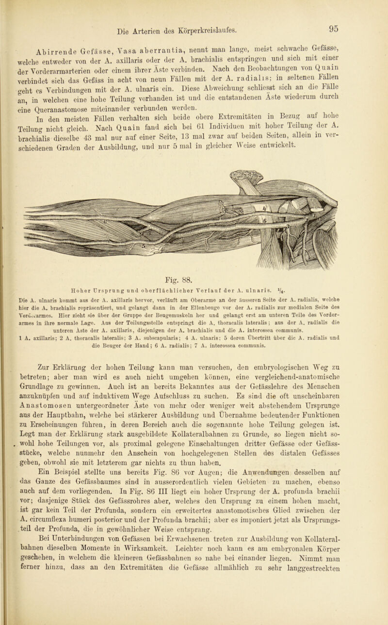 Abirrende Gefässe, Vasa aberrantia, nennt man lange, meist schwache Gefässe, welche entweder von der A. axillaris oder der A. brachialis entspringen und sich mit einer der Vorderarmarterien oder einem ihrer Äste verbinden. Nach den Beobachtungen von Quain verbindet sich das Gefäss in acht von neun Fällen mit der A. radialis; in seltenen Fällen geht es Verbindungen mit der A. ulnaris ein. Diese Abweichung schliesst sich an die Fälle an, in welchen eine hohe Teilung vorhanden ist und die entstandenen Äste wiederum durch eine Queranastomose miteinander verbunden werden. In den meisten Fällen verhalten sich beide obere Extremitäten in Bezug auf hohe Teilung nicht gleich. Nach Quain fand sich bei 61 Individuen mit hoher Teilung der A. brachialis dieselbe 43 mal nur auf einer Seite, 13 mal zwar auf beiden Seiten, allein in ver- schiedenen Graden der Ausbildung, und nur 5 mal in gleicher Weise entwickelt. Fig. 88. Hoher Ursprung und oberflächlicher Verlauf der A. ulnaris. Vl- Die A. ulnaris kommt aus der A. axillaris hervor, verläuft am Oberarme an der äusseren Seite der A. radialis, welche hier die A. brachialis repräsentiert, und gelangt dann in der Ellenbeuge vor der A. radialis zur medialen Seite des Vordc. armes. Hier zieht sie über der Gruppe der Beugemuskeln her und gelangt erst am unteren Teile des Vorder- armes in ihre normale Lage. Aus der Teilungsstelle entspringt die A. thoracalis lateralis ; aus der A. radialis die unteren Äste der A. axillaris, diejenigen der A. brachialis und die A. interossea communis. 1 A. axillaris; 2 A. thoracalis lateralis; 3 A. subscapularis; 4 A. ulnaris; 5 deren Übertritt über die A. radialis und die Beuger der Hand; 6 A. radialis; 7 A. interossea communis. Zur Erklärung der hohen Teilung kann man versuchen, den embryologischen Weg zu betreten; aber man wird es auch nicht umgehen können, eine vergleichend-anatomische Grundlage zu gewinnen. Auch ist an bereits Bekanntes aus der Getässlehre des Menschen anzuknüpfen und auf induktivem Wege Aufschluss zu suchen. Es sind die oft unscheinbaren Anastomosen untergeordneter Äste von mehr oder weniger weit abstehendem Ursprünge aus der Hauptbahn, welehe bei stärkerer Ausbildung und Übernahme bedeutender Funktionen zu Erscheinungen führen, in deren Bereich auch die sogenannte hohe Teilung gelegen ist. Legt man der Erklärung stark ausgebildete Kollateralbalinen zu Grunde, so liegen nicht so- wohl hohe Teilungen vor, als proximal gelegene Einschaltungen dritter Gefässe oder Gefäss- stücke, welche nunmehr den Anschein von hochgelegenen Stellen des distalen Gefässes geben, obwohl sie mit letzterem gar nichts zu thun haben. Ein Beispiel stellte uns bereits Fig. 86 vor Augen; die Anwendungen desselben auf das Ganze des Gefässbaumes sind in ausserordentlich vielen Gebieten zu machen, ebenso auch auf dem vorliegenden. In Fig. 86 III liegt ein hoher Ursprung der A. profunda brachii vor; dasjenige Stück des Gefässrohres aber, welches den Ursprung zu einem hohen macht, ist gar kein Teil der Profunda, sondern ein erweitertes anastomotisches Glied zwischen der A. circumflexa humeri posterior und der Profunda brachii; aber es imponiert jetzt als Ursprungs- teil der Profunda, die in gewöhnlicher Weise entsprang. Bei Unterbindungen von Gefässen bei Erwachsenen treten zur Ausbildung von Ivollateral- bahnen dieselben Momente in Wirksamkeit. Leichter noch kann es am embryonalen Körper geschehen, in welchem die kleineren Gefässbahnen so nahe bei einander liegen. Nimmt man ferner hinzu, dass an den Extremitäten die Gefässe allmählich zu sehr langgestreckten