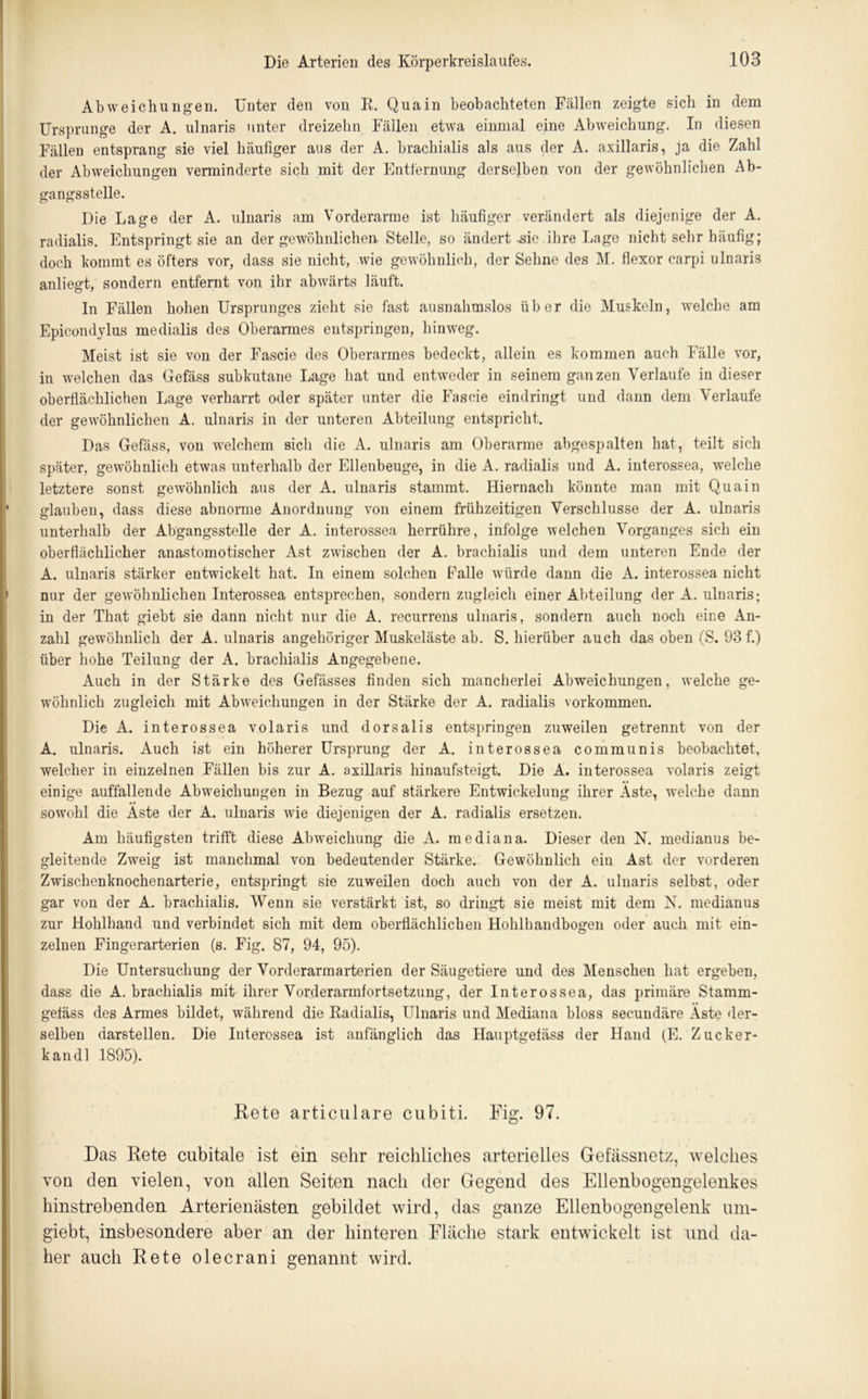 Abweichungen. Unter den von R. Qua in beobachteten Fällen zeigte sich in dem Ursprünge der A. ulnaris unter dreizehn Fällen etwa einmal eine Abweichung. In diesen Fällen entsprang sie viel häufiger aus der A. brachialis als aus der A. axillaris, ja die Zahl der Abweichungen verminderte sich mit der Entfernung derselben von der gewöhnlichen Ab- gangsstelle. Die Lage der A. ulnaris am Vorderarme ist häufiger verändert als diejenige der A. radialis. Entspringt sie an der gewöhnlichen. Stelle, so ändert .sie ihre Lage nicht sehr häufig; doch kommt es öfters vor, dass sie nicht, wie gewöhnlich, der Sehne des M. flexor carpi ulnaris anliegt, sondern entfernt von ihr abwärts läuft. In Fällen hohen Ursprunges zieht sie fast ausnahmslos über die Muskeln, welche am Epicondylus medialis des Oberarmes entspringen, hinweg. Meist ist sie von der Fascie des Oberarmes bedeckt, allein es kommen auch Fälle vor, in welchen das Gefäss subkutane Lage hat und entweder in seinem ganzen Verlaufe in dieser oberflächlichen Lage verharrt oder später unter die Fascie eindringt und dann dem Verlaufe der gewöhnlichen A. ulnaris in der unteren Abteilung entspricht. Das Gefäss, von welchem sich die A. ulnaris am Oberarme abgespalten hat, teilt sich später, gewöhnlich etwas unterhalb der Ellenbeuge, in die A. radialis und A. interossea, welche letztere sonst gewöhnlich aus der A. ulnaris stammt. Hiernach könnte man mit Quain glauben, dass diese abnorme Anordnung von einem frühzeitigen Verschlüsse der A. ulnaris unterhalb der Abgangsstelle der A. interossea herrühre, infolge welchen Vorganges sich ein oberflächlicher anastomotischer Ast zwischen der A. brachialis und dem unteren Ende der A. ulnaris stärker entwickelt hat. In einem solchen Falle würde dann die A. interossea nicht nur der gewöhnlichen Interossea entsprechen, sondern zugleich einer Abteilung der A. ulnaris; in der That giebt sie dann nicht nur die A. recurrens ulnaris, sondern auch noch eine An- zahl gewöhnlich der A. ulnaris angehöriger Muskeläste ab. S. hierüber auch das oben (S. 93 f.) über hohe Teilung der A. brachialis Angegebene. Auch in der Stärke des Gefässes finden sich mancherlei Abweichungen, welche ge- wöhnlich zugleich mit Abweichungen in der Stärke der A. radialis Vorkommen. Die A. interossea volaris und dorsalis entspringen zuweilen getrennt von der A. ulnaris. Auch ist ein höherer Ursprung der A. interossea communis beobachtet, welcher in einzelnen Fällen bis zur A. axillaris hinaufsteigt. Die A. interossea volaris zeigt einige auffallende Abweichungen in Bezug auf stärkere Entwickelung ihrer Aste, welche dann sowohl die Aste der A. ulnaris wie diejenigen der A. radialis ersetzen. Am häufigsten trifft diese Abweichung die A. mediana. Dieser den N. medianus be- gleitende Zweig ist manchmal von bedeutender Stärke. Gewöhnlich ein Ast der vorderen Zwischenknochenarterie, entspringt sie zuweilen doch auch von der A. ulnaris selbst, oder gar von der A. brachialis. Wenn sie verstärkt ist, so dringt sie meist mit dem N. medianus zur Hohlhand und verbindet sich mit dem oberflächlichen Hohlhandbogen oder auch mit ein- zelnen Fingerarterien (s. Fig. 87, 94, 95). Die Untersuchung der Vorderarmarterien der Säugetiere und des Menschen hat ergeben, dass die A. brachialis mit ihrer Vorderarmfortsetzung, der Interossea, das primäre Stamm- gefäss des Armes bildet, während die Radialis, Ulnaris und Mediana bloss secundäre Äste der- selben darstellen. Die Interossea ist anfänglich das Hauptgefäss der Hand (E. Zucker- kandl 1895). Rete articulare cubiti. Fig. 97. Das Rete cubitale ist ein sehr reichliches arterielles Gefässnetz, welches von den vielen, von allen Seiten nach der Gegend des Ellenbogengelenkes hinstrebenden Arterienästen gebildet wird, das ganze Ellenbogengelenk um- giebt, insbesondere aber an der hinteren Fläche stark entwickelt ist und da- her auch Rete olecrani genannt wird.