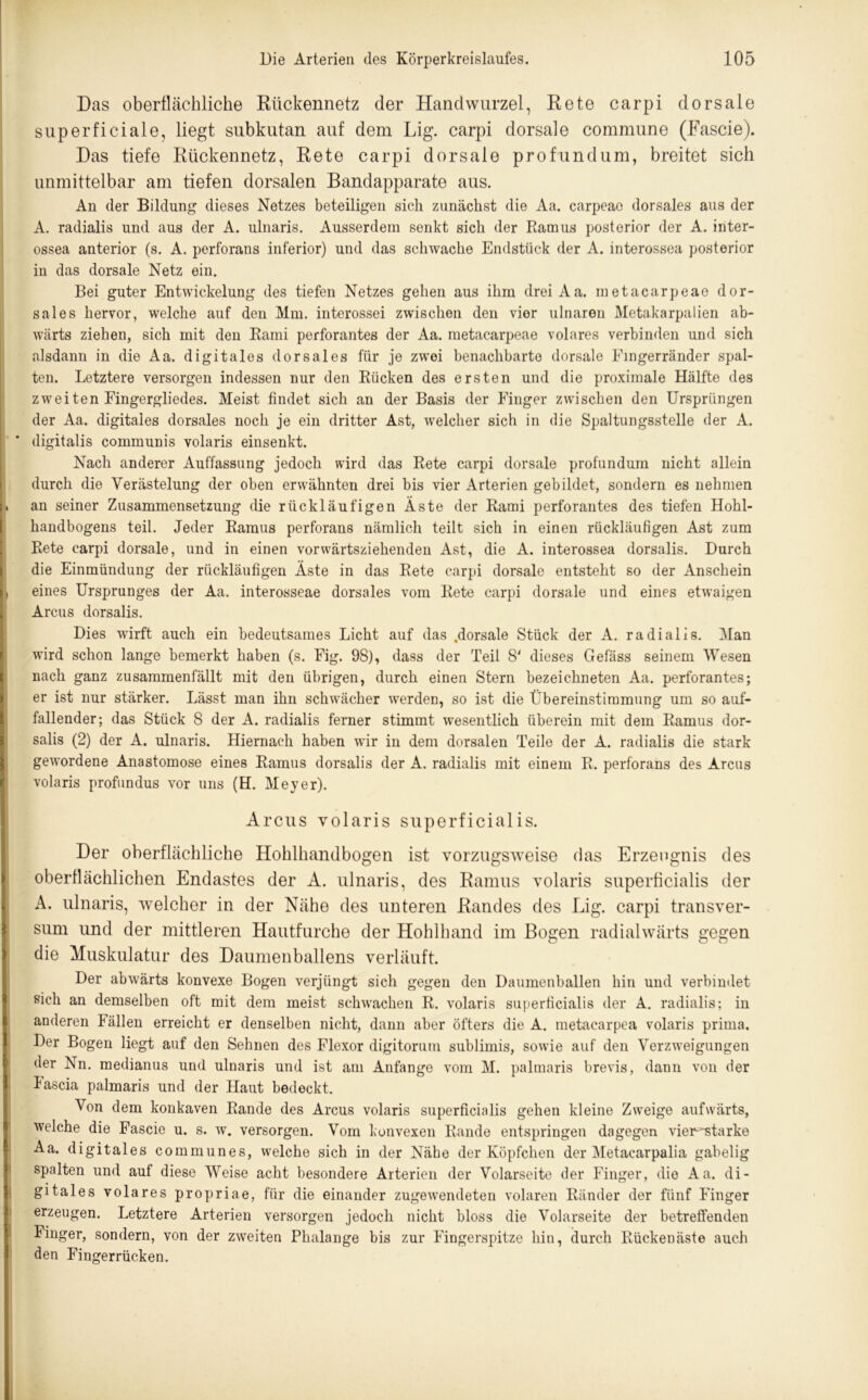 Das oberflächliche Rückennetz der Handwurzel, Rete carpi dorsale superficiale, liegt subkutan auf dem Lig. carpi dorsale commune (Fascie). Das tiefe Rückennetz, Rete carpi dorsale profundum, breitet sich unmittelbar am tiefen dorsalen Bandapparate aus. An der Bildung dieses Netzes beteiligen sich zunächst die Aa. carpeae dorsales aus der A. radialis und aus der A. ulnaris. Ausserdem senkt sich der Ramus posterior der A. inter- ossea anterior (s. A. perforans inferior) und das schwache Endstück der A. interossea posterior in das dorsale Netz ein. Bei guter Entwickelung des tiefen Netzes gehen aus ihm drei Aa. metacarpeae dor- sales hervor, welche auf den Mm. interossei zwischen den vier ulnaren Metakarpalien ab- wärts ziehen, sich mit den Rami perforantes der Aa. metacarpeae volares verbinden und sich alsdann in die Aa. digitales dorsales für je zwei benachbarte dorsale Eingerränder spal- ten. Letztere versorgen indessen nur den Rücken des ersten und die proximale Hälfte des zweiten Eingergliedes. Meist findet sich an der Basis der Finger zwischen den Ursprüngen der Aa. digitales dorsales noch je ein dritter Ast, welcher sich in die Spaltungsstelle der A. digitalis communis volaris einsenkt. Nach anderer Auffassung jedoch wird das Rete carpi dorsale profundum nicht allein durch die Verästelung der oben erwähnten drei bis vier Arterien gebildet, sondern es nehmen i« an seiner Zusammensetzung die rückläufigen Äste der Rami perforantes des tiefen Hohl- handbogens teil. Jeder Ramus perforans nämlich teilt sich in einen rückläufigen Ast zum Rete carpi dorsale, und in einen vorwärtsziehenden Ast, die A. interossea dorsalis. Durch die Einmündung der rückläufigen Äste in das Rete carpi dorsale entsteht so der Anschein eines Ursprunges der Aa. interosseae dorsales vom Rete carpi dorsale und eines etwaigen Arcus dorsalis. Dies wirft auch ein bedeutsames Licht auf das .dorsale Stück der A. radialis. Man wird schon lange bemerkt haben (s. Fig. 98), dass der Teil 8' dieses Gefäss seinem Wesen nach ganz zusammenfällt mit den übrigen, durch einen Stern bezeichneten Aa. perforantes; er ist nur stärker. Lässt man ihn schwächer werden, so ist die Übereinstimmung um so auf- fallender; das Stück 8 der A. radialis ferner stimmt wesentlich überein mit dem Ramus dor- salis (2) der A. ulnaris. Hiernach haben wir in dem dorsalen Teile der A. radialis die stark gewordene Anastomose eines Ramus dorsalis der A. radialis mit einem R. perforans des Arcus volaris profundus vor uns (H. Meyer). Arcus volaris superficialis. Der oberflächliche Hohlhand bogen ist vorzugsweise das Erzeugnis des oberflächlichen Endastes der A. ulnaris, des Ramus volaris superficialis der A. ulnaris, welcher in der Nähe des unteren Randes des Lig. carpi transver- sum und der mittleren Hautfurche der Hohlhand im Bogen radialwärts gegen I die Muskulatur des Daumenballens verläuft. Der abwärts konvexe Bogen verjüngt sich gegen den Daumenballen hin und verbindet sich an demselben oft mit dem meist schwachen R. volaris superficialis der A. radialis; in anderen Fällen erreicht er denselben nicht, dann aber öfters die A. metacarpea volaris prima. Der Bogen liegt auf den Sehnen des Flexor digitorum sublimis, sowie auf den Verzweigungen der Nn. medianus und ulnaris und ist am Anfänge vom M. palmaris brevis, dann von der Fascia palmaris und der Haut bedeckt. Von dem konkaven Rande des Arcus volaris superficialis gehen kleine Zweige aufwärts, welche die Fascie u. s. w. versorgen. Vom konvexen Rande entspringen dagegen vier'starke Aa. digitales communes, welche sich in der Nähe der Köpfchen der Metacarpalia gabelig spalten und auf diese Weise acht besondere Arterien der Volarseite der Finger, die Aa. di- gitales volares propriae, für die einander zugewendeten volaren Ränder der fünf Finger erzeugen. Letztere Arterien versorgen jedoch nicht bloss die Volarseite der betreffenden Finger, sondern, von der zweiten Phalange bis zur Fingerspitze hin, durch Rückenäste auch den Fingerrücken.