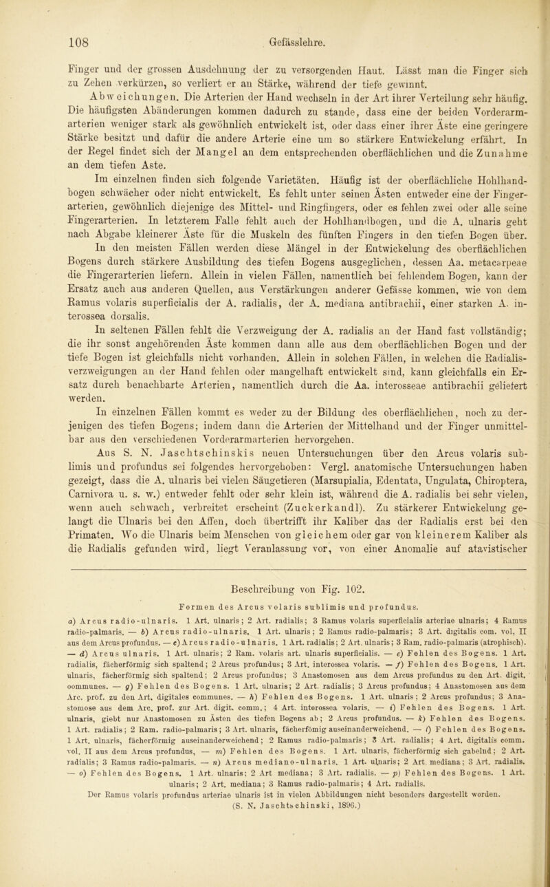 Finger und der grossen Ausdehnung der zu versorgenden Haut. Lässt man die Finger sieh zu Zehen verkürzen, so verliert er an Stärke, während der tiefe gewinnt. Ab w eickungen. Die Arterien der Hand wechseln in der Art ihrer Verteilung sehr häufig. Die häufigsten Abänderungen kommen dadurch zu stände, dass eine der beiden Vorderarm- arterien weniger stark als gewöhnlich entwickelt ist, oder dass einer ihrer Äste eine geringere Stärke besitzt und dafür die andere Arterie eine um so stärkere Entwickelung erfährt. In der Regel findet sich der Mangel an dem entsprechenden oberflächlichen und die Zunahme an dem tiefen Aste. Im einzelnen finden sich folgende Varietäten. Häufig ist der oberflächliche Hohlhand- bogen schwächer oder nicht entwickelt. Es fehlt unter seinen Ästen entweder eine der Finger- arterien, gewöhnlich diejenige des Mittel- und Ringfingers, oder es fehlen zwei oder alle seine Fingerarterien. In letzterem Falle fehlt auch der Hohlhandbogen, und die A. ulnaris geht nach Abgabe kleinerer Äste für die Muskeln des fünften Fingers in den tiefen Bogen über. In den meisten Fällen werden diese Mängel in der Entwickelung des oberflächlichen Bogens durch stärkere Ausbildung des tiefen Bogens ausgeglichen, dessen Aa. metacarpeae die Fingerarterien liefern. Allein in vielen Fällen, namentlich bei fehlendem Bogen, kann der Ersatz auch aus anderen Quellen, aus Verstärkungen anderer Gefässe kommen, wie von dem Ramus volaris superficialis der A. radialis, der A. mediana antibrachii, einer starken A. in- terossea dorsalis. In seltenen Fällen fehlt die Verzweigung der A. radialis an der Hand fast vollständig; die ihr sonst angehörenden Äste kommen dann alle aus dem oberflächlichen Bogen und der tiefe Bogen ist gleichfalls nicht vorhanden. Allein in solchen Fällen, in welchen die Radialis- verzweigungen an der Hand fehlen oder mangelhaft entwickelt sind, kann gleichfalls ein Er- satz durch benachbarte Arterien, namentlich durch die Aa. interosseae antibrachii geliefert werden. In einzelnen Fällen kommt es weder zu der Bildung des oberflächlichen, noch zu der- jenigen des tiefen Bogens; indem dann die Arterien der Mittelhand und der Finger unmittel- bar aus den verschiedenen Vorderarmarterien hervorgehen. Aus S. N. Jaschtschinskis neuen Untersuchungen über den Arcus volaris sub- limis und profundus sei folgendes hervorgehoben: Vergl. anatomische Untersuchungen haben gezeigt, dass die A. ulnaris bei vielen Säugetieren (Marsupialia, Edentata, Ungulata, Ckiroptera, Carnivora u. s. w.) entweder fehlt oder sehr klein ist, während die A. radialis bei sehr vielen, wenn auch schwach, verbreitet erscheint (Zuckerkandl). Zu stärkerer Entwickelung ge- langt die Ulnaris bei den Affen, doch übertrifft ihr Kaliber das der Badialis erst bei den Primaten. Wo die Ulnaris beim Menschen von gieichem oder gar von kleinerem Kaliber als die Radialis gefunden wird, liegt Veranlassung vor, von einer Anomalie auf atavistischer Beschreibung von Fig. 102. Formen des Arcus volaris sublimis und profundus. a) Arcus radio-ulnaris. 1 Art. ulnaris; 2 Art. radialis; 3 Ramus volaris superficialis arteriae ulnaris; 4 Ramus radio-palmaris. — b) Arcus radio-ulnaris. 1 Art. ulnaris; 2 Ramus radio-palmaris; 3 Art. digitalis com. vol, II aus dem Arcus profundus. — e) Arcus radio-ulnaris. 1 Art. radialis; 2 Art. ulnaris; 3 Ram. radio-palmaris (atrophisch). — d) Arcus ulnaris. 1 Art. ulnaris; 2 Ram. volaris art. ulnaris superficialis. — e) Fehlen des Bogens. 1 Art. radialis, fächerförmig sich spaltend; 2 Arcus profundus; 3 Art. interossea volaris. —/) Fehlen des Bogens. 1 Art. ulnaris, fächerförmig sich spaltend; 2 Arcus profundus; 3 Anastomosen aus dem Arcus profundus zu den Art. digit. oommunes. — j) Fehlen des Bogens. 1 Art. ulnaris; 2 Art. radialis; 3 Arcus profundus; 4 Anastomosen aus dem Are. prof. zu den Art. digitales communes. — h) Fehlen des Bogens. 1 Art. ulnaris; 2 Arcus profundus; 3 Ana- stomose aus dem Are. prof. zur Art. digit. comm.; 4 Art. interossea volaris. — »') Fehlen des Bogens. 1 Art. ulnaris, giebt nur Anastomosen zu Ästen des tiefen Bogens ab; 2 Arcus profundus. — k) Fehlen des Bogens. 1 Art. radialis; 2 Ram. radio-palmaris; 3 Art. ulnaris, fächerfömig auseinanderweichend. — I) Fehlen des Bogens. 1 Art. ulnaris, fächerförmig auseinanderweichend; 2 Ramus radio-palmaris; 3 Art. radialis; 4 Art. digitalis comm. vol. II aus dem Arcus profundus, — m) Fehlen des Bogens. 1 Art. ulnaris, fächerförmig sich gabelnd; 2 Art. radialis; 3 Ramus radio-palmaris. —- n) Arcus mediano-ul naris. 1 Art. ufnaris; 2 Art mediana; 3 Art. radialis. — o) Fehlen des Bogens. 1 Art. ulnaris; 2 Art mediana; 3 Art. radialis. —p) Fehlen des Bogens. 1 Art. ulnaris; 2 Art. mediana; 3 Ramus radio-palmaris; 4 Art. radialis. Der Ramus volaris profundus arteriae ulnaris ist in vielen Abbildungen nicht besonders dargestellt worden. (S. N. Jaschts chinski, 1896.)