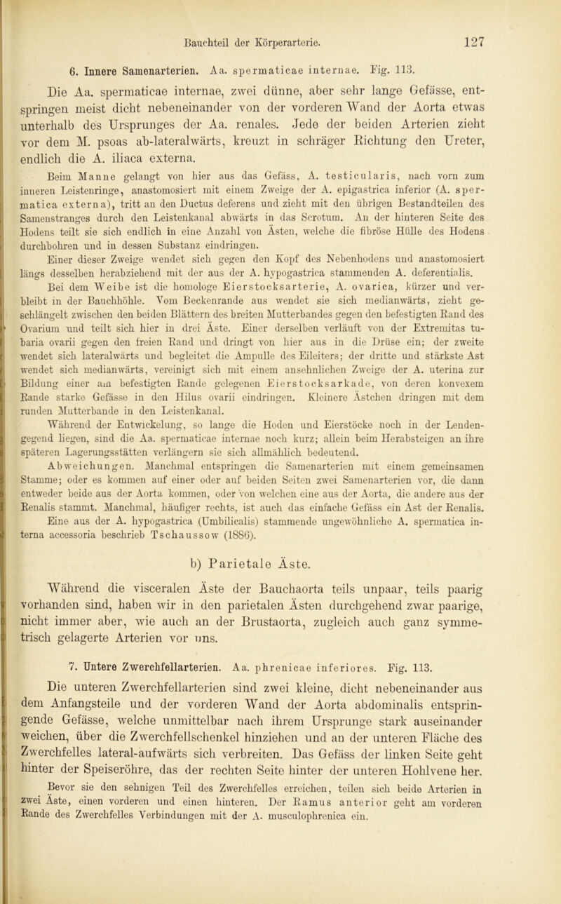 6. Innere Samenarterien. Aa. spermaticae internae. Fig. 113. Die Aa. spermaticae internae, zwei dünne, aber sehr lange Gefässe, ent- springen meist dicht nebeneinander von der vorderen Wand der Aorta etwas unterhalb des Ursprunges der Aa. renales. Jede der beiden Arterien zieht vor dem M. psoas ab-lateralwärts, kreuzt in schräger Richtung den Ureter, endlich die A. iliaca externa. Beim Manne gelangt von hier aus das Gefäss, A. testicularis, nach vorn zum inneren Leistenringe, anastomosiert mit einem Zweige der A. epigastrica inferior (A. sper- matica externa), tritt an den Ductus deferens und zieht mit den übrigen Bestandteilen des Samenstranges durch den Leistenkanal abwärts in das Scrotum. An der hinteren Seite des Hodens teilt sie sich endlich in eine Anzahl von Ästen, welche die fibröse Hülle des Hodens durchbohren und in dessen Substanz eindringen. Einer dieser Zweige wendet sich gegen den Kopf des Nebenhodens und anastomosiert längs desselben herabziehend mit der aus der A. hvpogastrica stammenden A. deferentinlis. Bei dem Weibe ist die homologe Eierstocksarterie, A. ovarica, kürzer und ver- bleibt m der Bauchhöhle. Vom Beckenrande aus wendet sie sich medianwärts, zieht ge- schlängelt zwischen den beiden Blättern des breiten Mutterbandes gegen den befestigten Band des Ovarium und teilt sich hier in drei Äste. Einer derselben verläuft von der Extremitas tu- baria ovarii gegen den freien Band und dringt von hier aus in die Drüse ein; der zweite wendet sich lateralwärts und begleitet die Ampulle des Eileiters; der dritte und stärkste Ast wendet sich medianwärts, vereinigt sieh mit einem ansehnlichen Zweige der A. uterina zur Bildung einer am befestigten Bande gelegenen Eierstocksarkade, von deren konvexem Bande starke Gefässe in den Hilus ovarii eindringen. Kleinere Ästchen dringen mit dem runden Mutterbande in den Leistenkanal. Während der Entwickelung, so lange die Hoden und Eierstöcke noch in der Lenden- gegend liegen, sind die Aa. spermaticae internae noch kurz; allein beim Herabsteigen an ihre späteren Lagerungsstätten verlängern sie sich allmählich bedeutend. Abweichungen. Manchmal entspringen die Samenarterien mit einem gemeinsamen Stamme; oder es kommen auf einer oder auf beiden Seiten zwei Samenarterien vor, die dann entweder beide aus der Aorta kommen, oder Von welchen eine aus der Aorta, die andere aus der Benalis stammt. Manchmal, häufiger rechts, ist auch das einfache Gefäss ein Ast der Benalis. Eine aus der A. hvpogastrica (Umbilicalis) stammende ungewöhnliche A. spermatica in- terna accessoria beschrieb Tschaussow (1886). b) Parietale Äste. Während die visceralen Äste der Bauchaorta teils unpaar, teils paarig vorhanden sind, haben wir in den parietalen Ästen durchgehend zwar paarige, nicht immer aber, wie auch an der Brustaorta, zugleich auch ganz symme- trisch gelagerte Arterien vor uns. 7. Untere Zwerchfellarterien. Aa. phrenicae inferiores. Fig. 113. Die unteren Zwerchfellarterien sind zwei kleine, dicht nebeneinander aus dem Anfangsteile und der vorderen Wand der Aorta abdominalis entsprin- gende Gefässe, welche unmittelbar nach ihrem Ursprünge stark auseinander weichen, über die Zwerchfellschenkel hinziehen und an der unteren Fläche des Zwerchfelles lateral-aufwärts sich verbreiten. Das Gefäss der linken Seite geht hinter der Speiseröhre, das der rechten Seite hinter der unteren Hohlvene her. Bevor sie den sehnigen Teil des Zwerchfelles erreichen, teilen sich beide Arterien in zwei Äste, einen vorderen und einen hinteren. Der Bamus anterior geht am vorderen Bande des Zwerchfelles Verbindungen mit der A. musculophrenica ein.