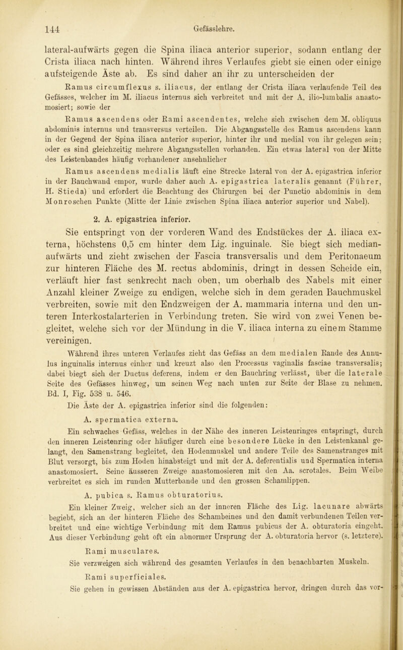 lateral-aufwärts gegen die Spina iliaca anterior superior, sodann entlang der Crista iliaca nach hinten. Während ihres Verlaufes giebt sie einen oder einige auf steigende Äste ab. Es sind daher an ihr zu unterscheiden der Ramus circumflexus s. iliacus, der entlang der Crista iliaca verlaufende Teil des Gefässes, welcher im M. iliacus internus sich verbreitet und mit der A. ilio-lumbalis anasto- mosiert; sowie der Ramus ascendens oder Rami ascendentes, welche sich zwischen dem M. ohliquus abdominis internus und transversus verteilen. Die Abgangsstelle des Ramus ascendens kann in der Gegend der Spina iliaca anterior superior, hinter ihr und medial von ihr gelegen sein; oder es sind gleichzeitig mehrere Abgangsstellen vorhanden. Ein etwas lateral von der Mitte des Leistenbandes häufig vorhandener ansehnlicher Ramus ascendens medialis läuft eine Strecke lateral von der A. epigastrica inferior in der Bauch wand empor, wurde daher auch A. epigastrica lateralis genannt (Führer, H. Stieda) und erfordert die Beachtung des Chirurgen bei der Punctio abdominis in dem Monröschen Punkte (Mitte der Linie zwischen Spina iliaca anterior superior und Nabel). 2. A. epigastrica inferior. Sie entspringt von der vorderen Wand des Endstückes der A. iliaca ex- terna, höchstens 0,5 cm hinter dem Lig. inguinale. Sie biegt sich median- aufwärts und zieht zwischen der Fascia transversalis und dem Peritonaeum zur hinteren Fläche des M. rectus abdominis, dringt in dessen Scheide ein, verläuft hier fast senkrecht nach oben, um oberhalb des Nabels mit einer Anzahl kleiner Zweige zu endigen, 'welche sich in dem geraden Bauchmuskel verbreiten, sowie mit den Endzweigen der A. mammaria interna und den un- teren Interkostalarterien in Verbindung treten. Sie wird von zwei Venen be- gleitet, welche sich vor der Mündung in die V. iliaca interna zu einem Stamme vereinigen. Während ihres unteren Verlaufes zieht das Gefäss an dem medialen Rande des Annu- lus inguinalis internus einher und kreuzt also den Processus vaginalis fasciae transversalis; dabei biegt sich der Ductus deferens, indem er den Bauchring verlässt, über die laterale Seite des Gefässes hinweg, um seinen Weg nach unten zur Seite der Blase zu nehmen. Bd. I, Fig. 538 u. 546. Die Äste der A. epigastrica inferior sind die folgenden: A. spermatica externa. Ein schwaches Gefäss, welches in der Nähe des inneren Leistenringes entspringt, durch den inneren Leistenring oder häufiger durch eine besondere Lücke in den Leistenkanal ge- langt, den Samenstrang begleitet, den Hodenmuskel und andere Teile des Samenstranges mit Blut versorgt, bis zum Hoden hinabsteigt und mit der A. deferentialis und Spermatica interna anastomosiert. Seine äusseren Zweige anastomosieren mit den Aa. scrotales. Beim Weibe verbreitet es sich im runden Mutterbande und den grossen Schamlippen. A. pubica s. Ramus obturatorius. Ein kleiner Zweig, welcher sich an der inneren Fläche des Lig. lacunare abwärts begiebt, sich an der hinteren Fläche des Schambeines und den damit verbundenen Teilen ver- breitet und eine wichtige Verbindung mit dem Ramus pubicus der A. obturatoria eingeht. Aus dieser Verbindung geht oft ein abnormer Ursprung der A. obturatoria hervor (s. letztere). Rami musculares. Sie verzweigen sich während des gesamten Verlaufes in den benachbarten Muskeln. Rami superficiales. Sie gehen in gewissen Abständen aus der A. epigastrica hervor, dringen durch das vor-